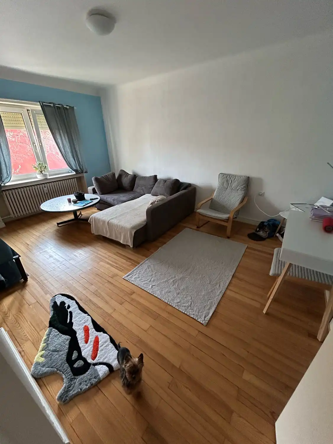 image-6