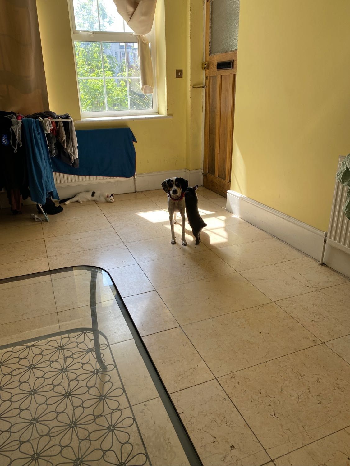 image-5