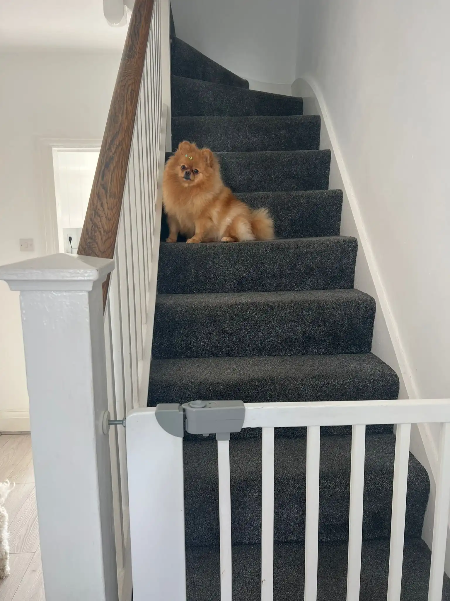 image-16