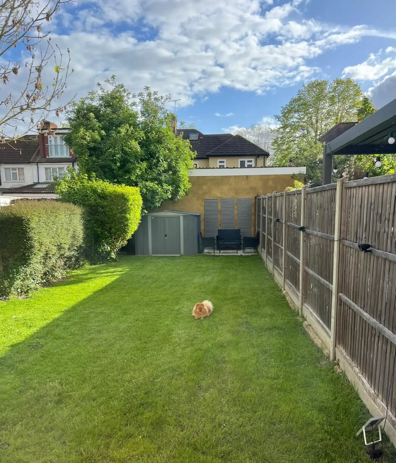 image-15