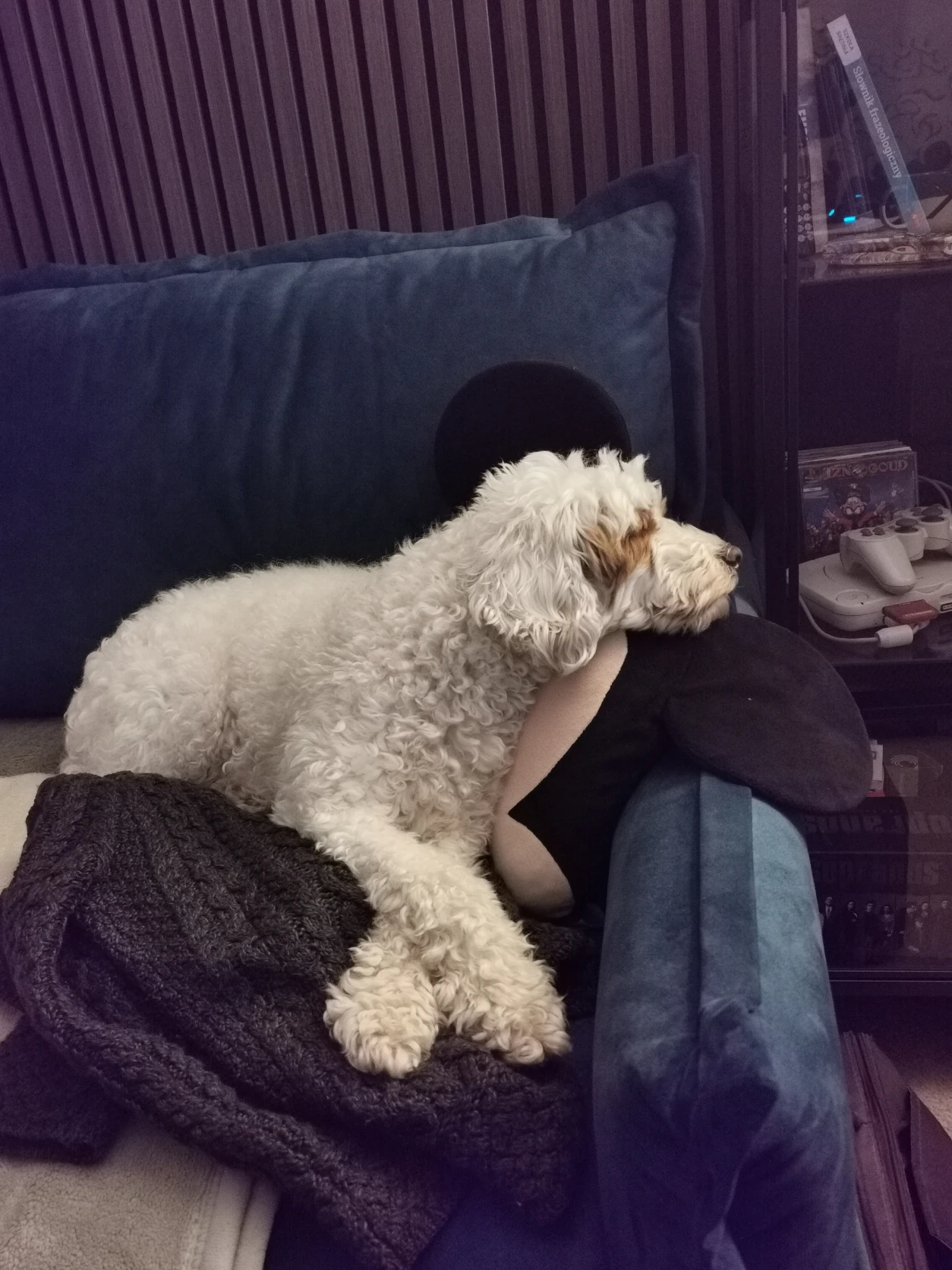 image-27