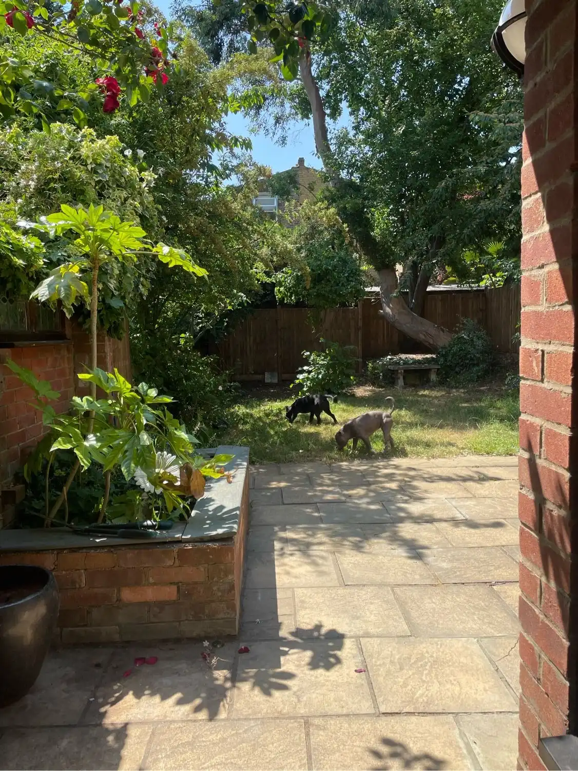image-6