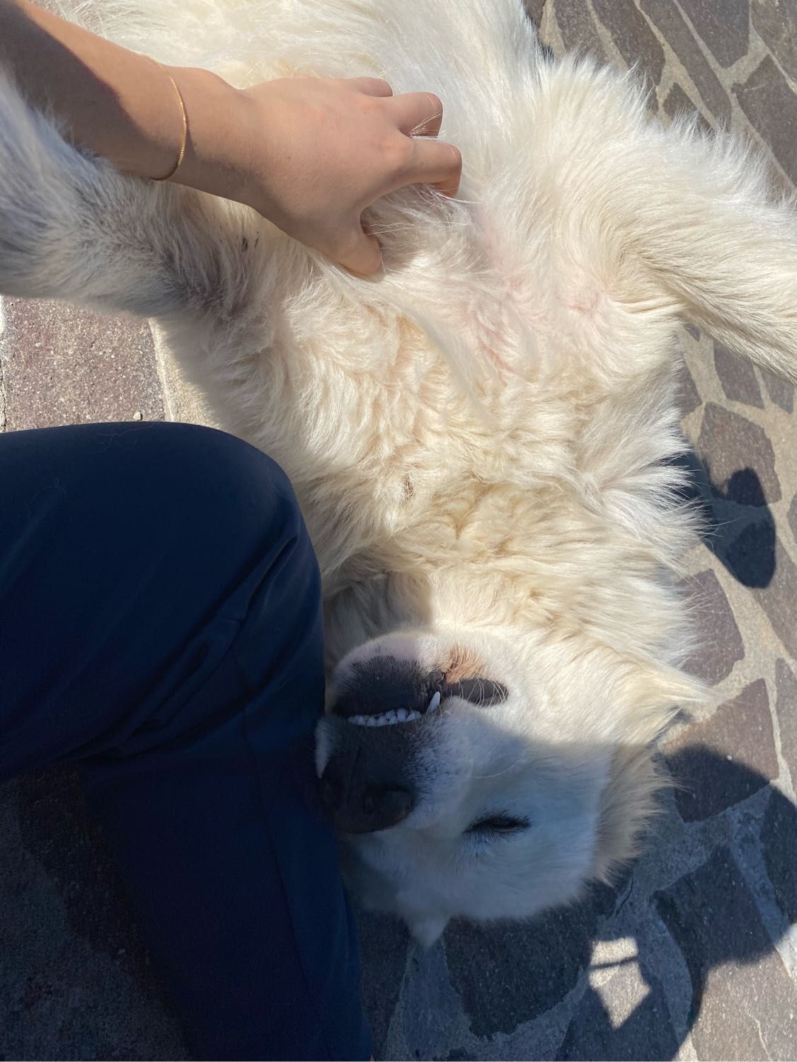 image-7
