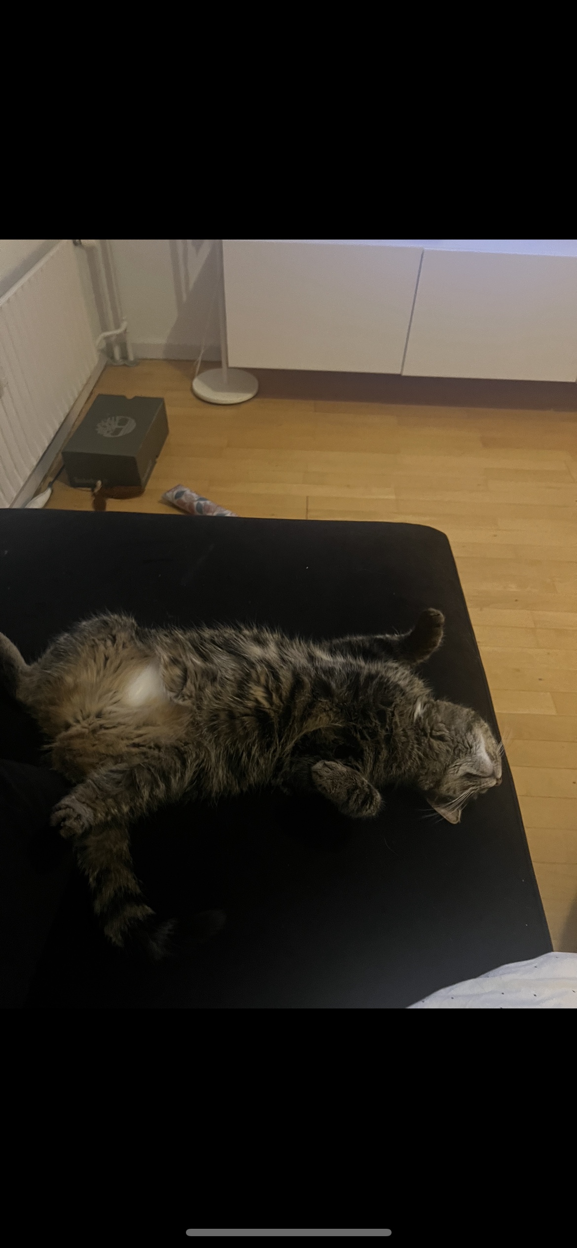 image-12