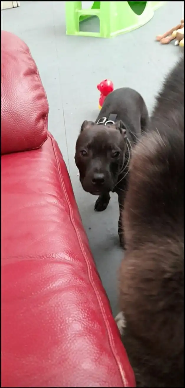 image-17
