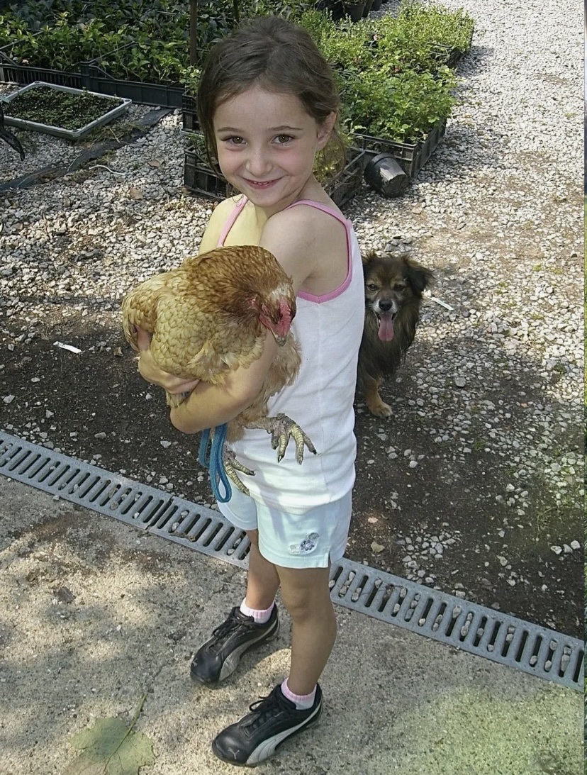 image-9