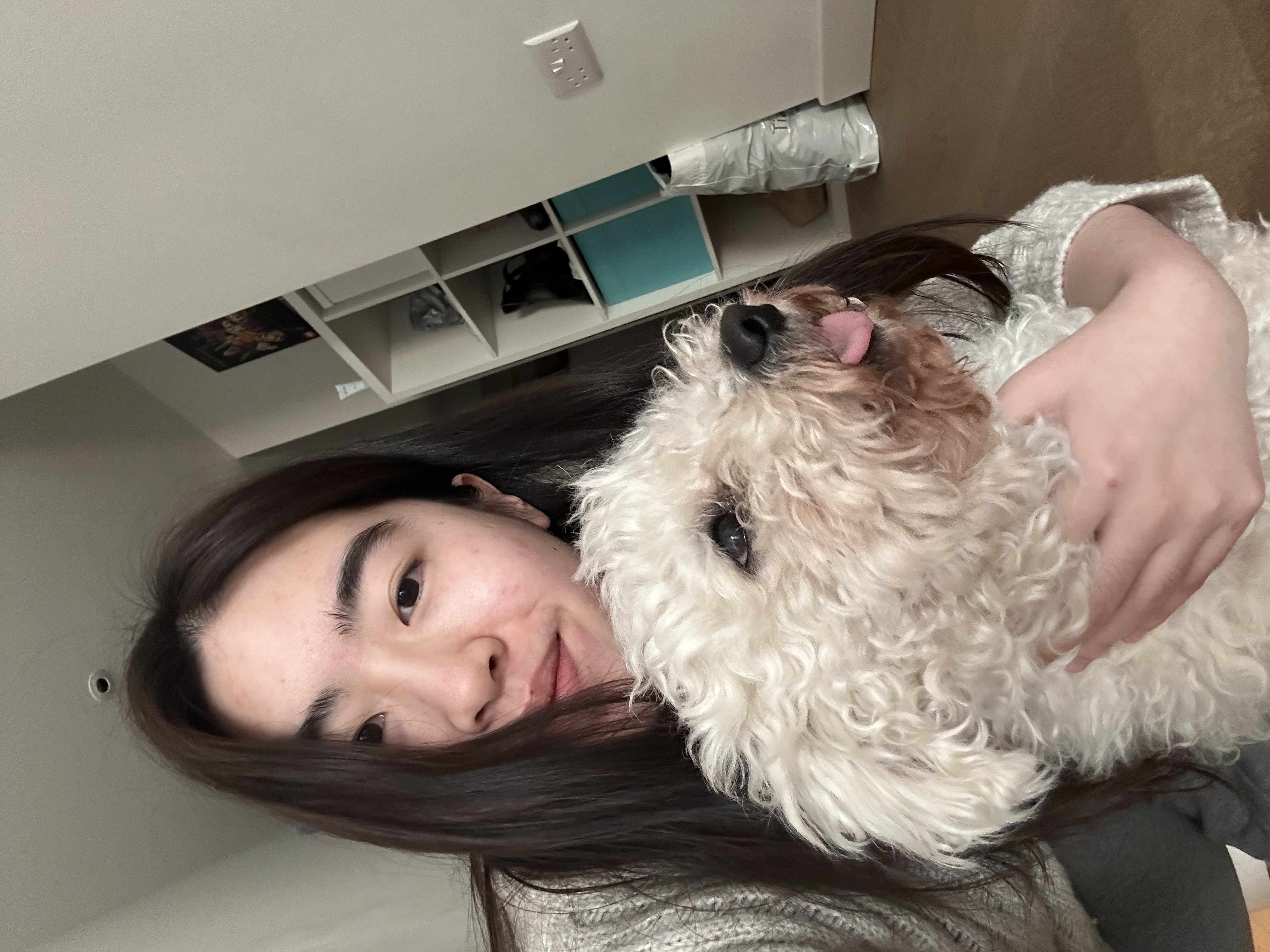 image-4