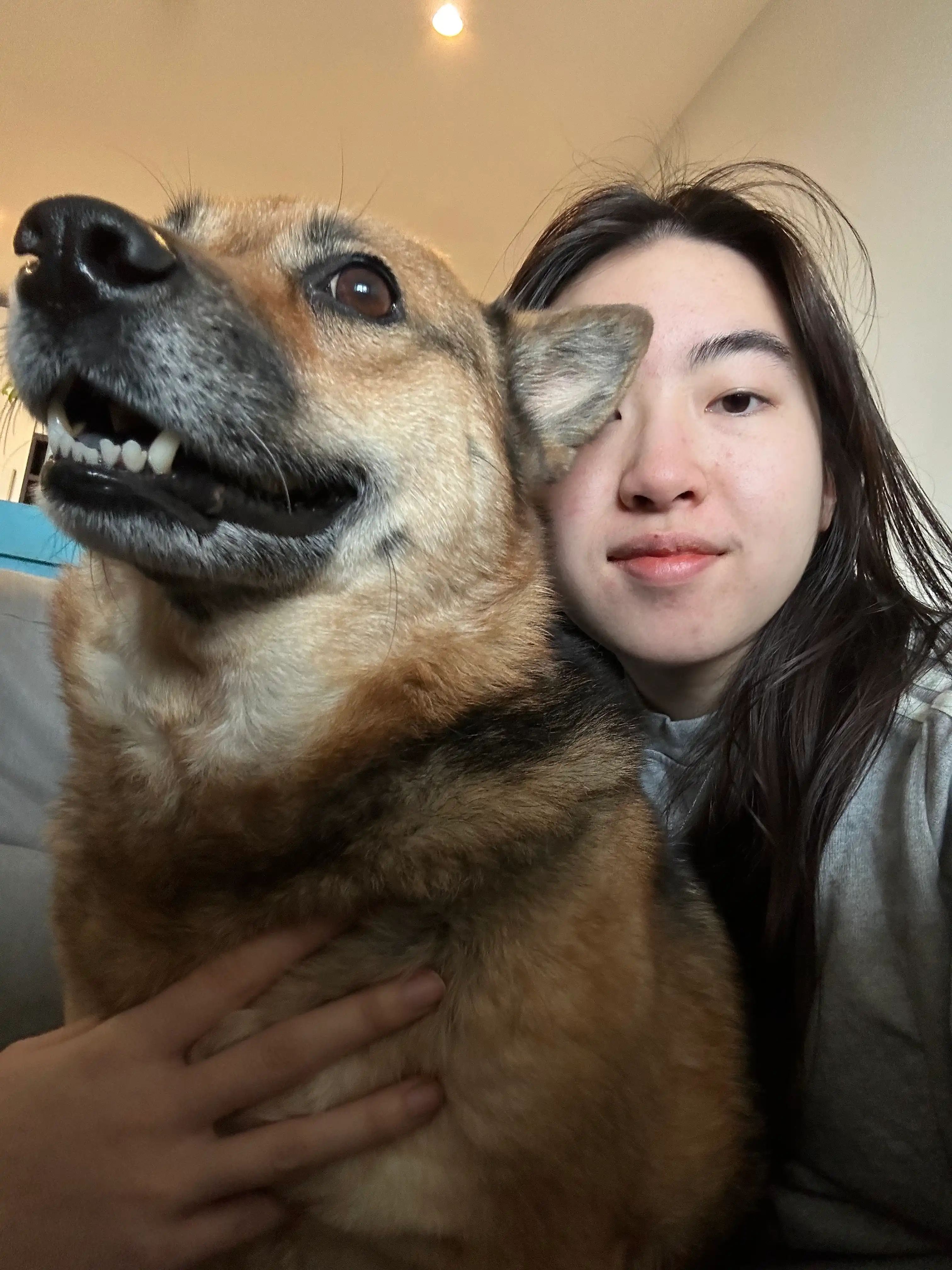 image-9