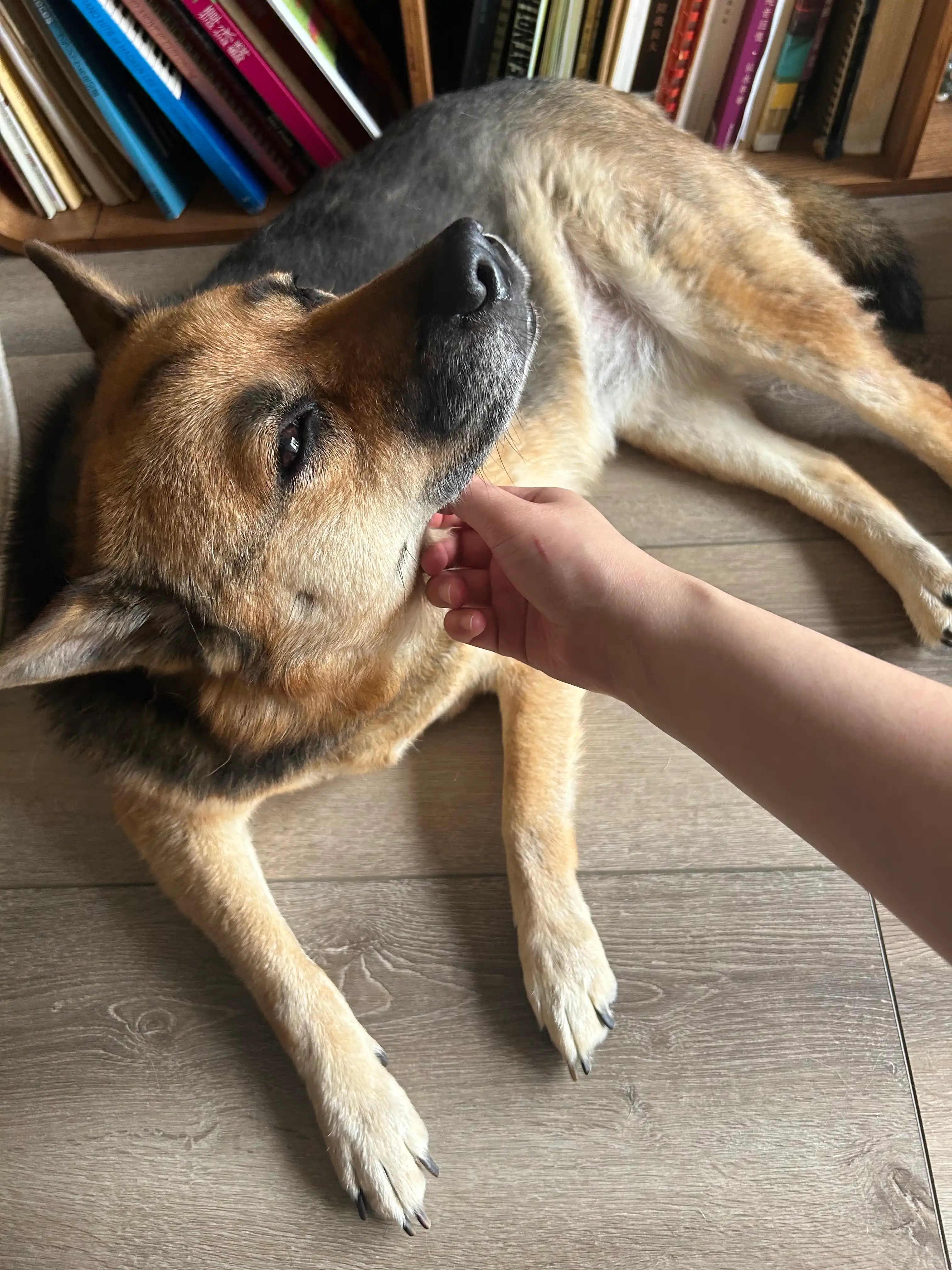 image-6