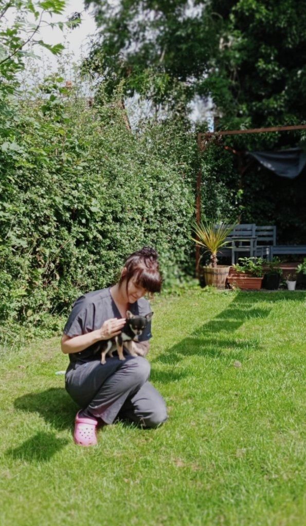 image-6