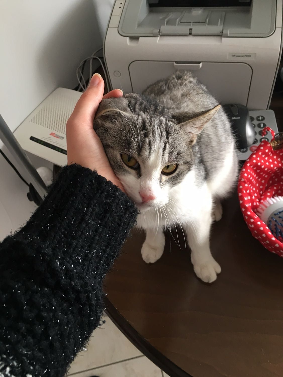 image-10