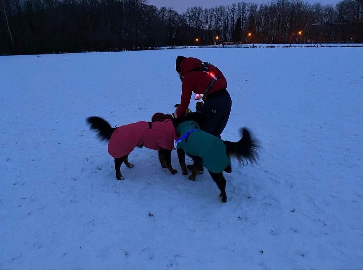 image-2