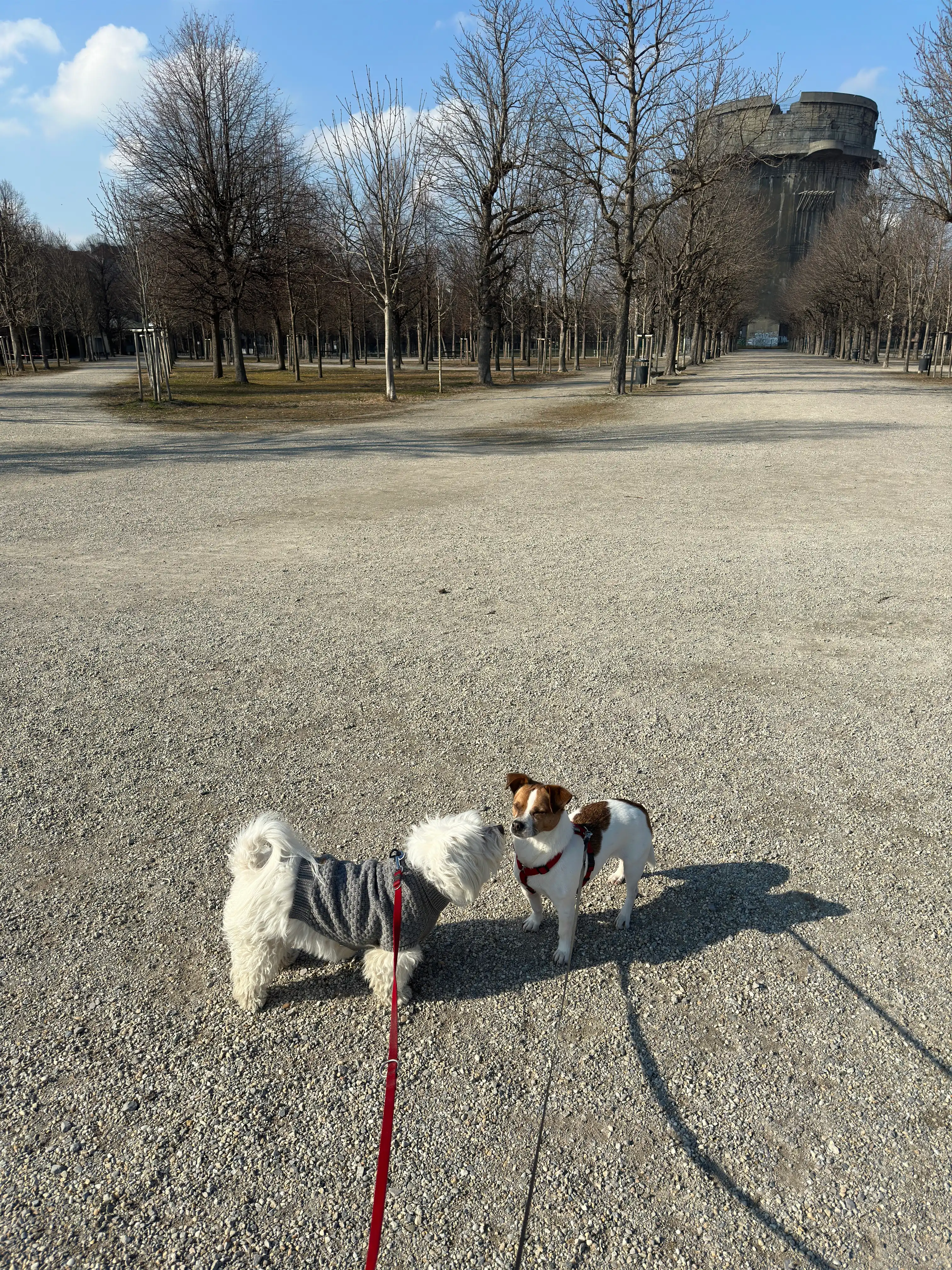 image-8
