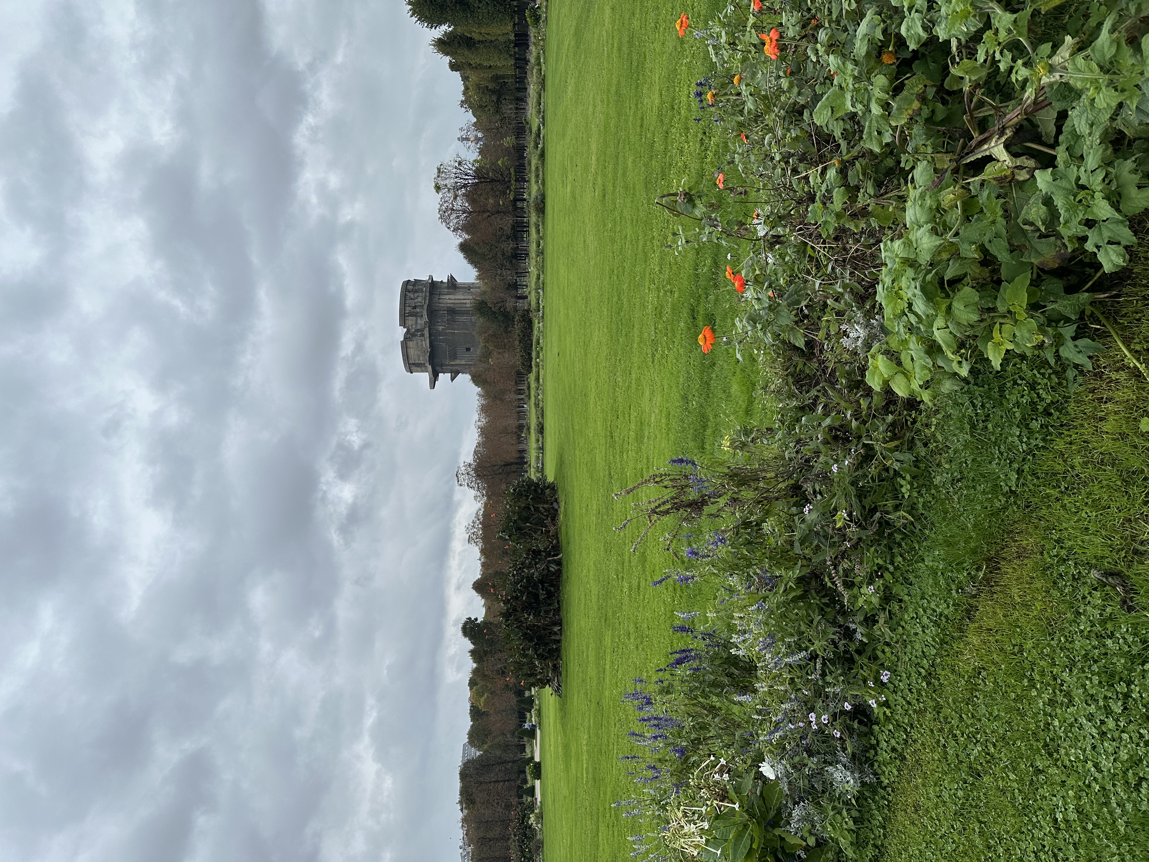 image-15