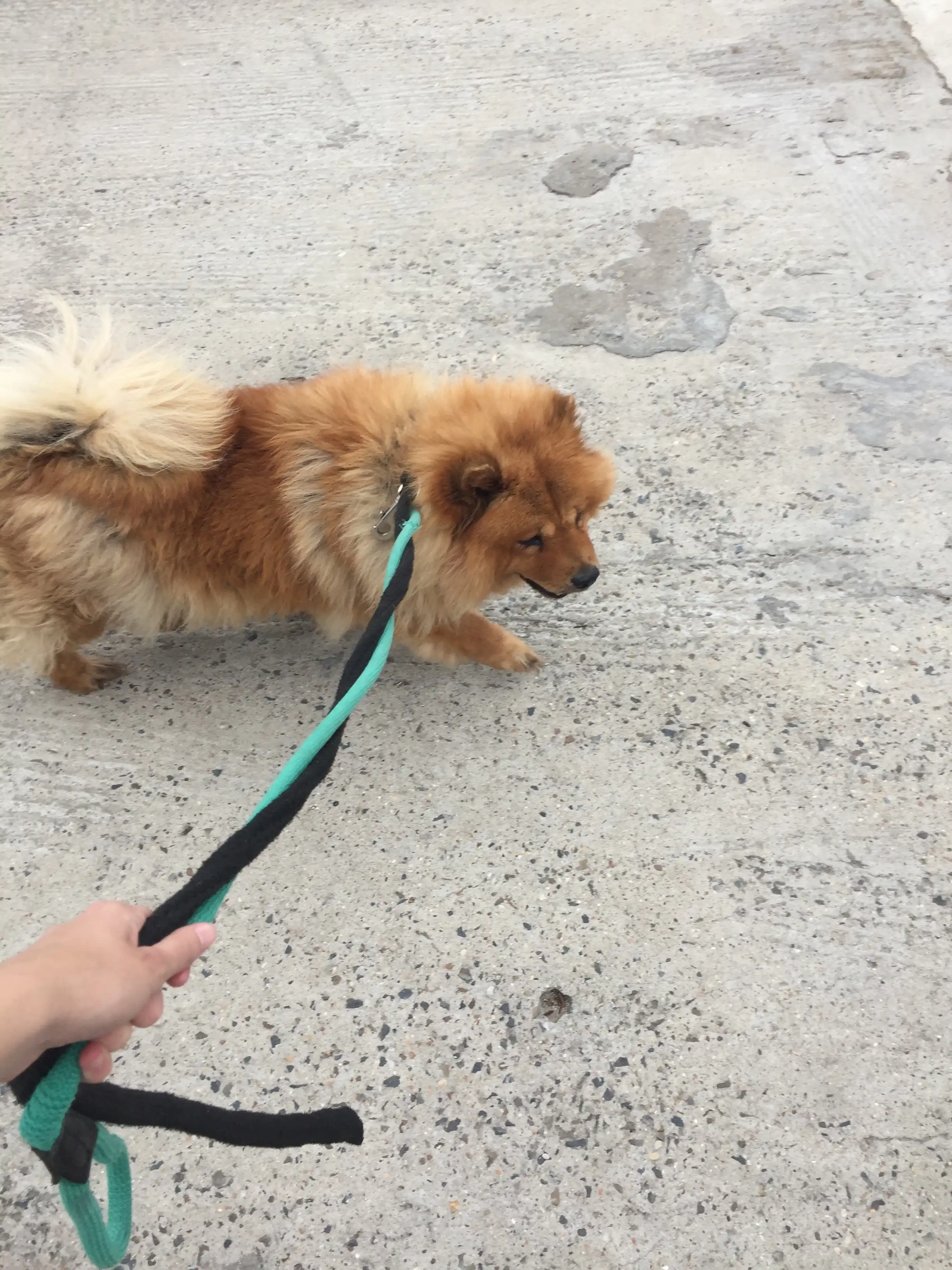 image-5