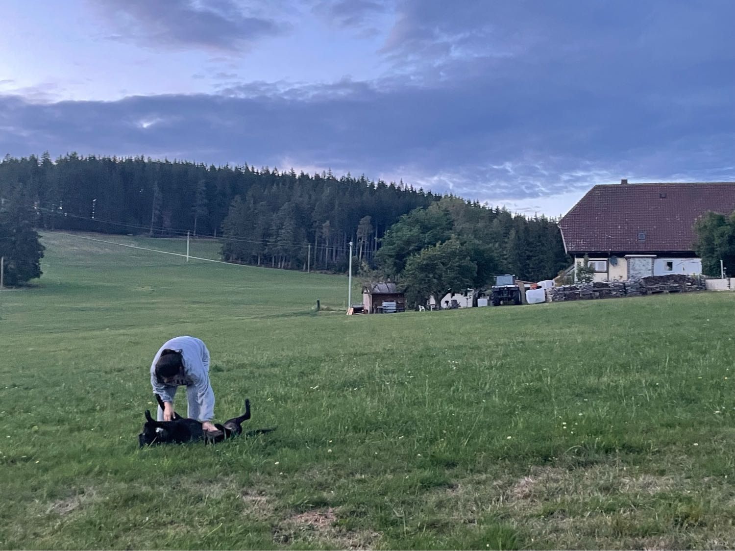image-4