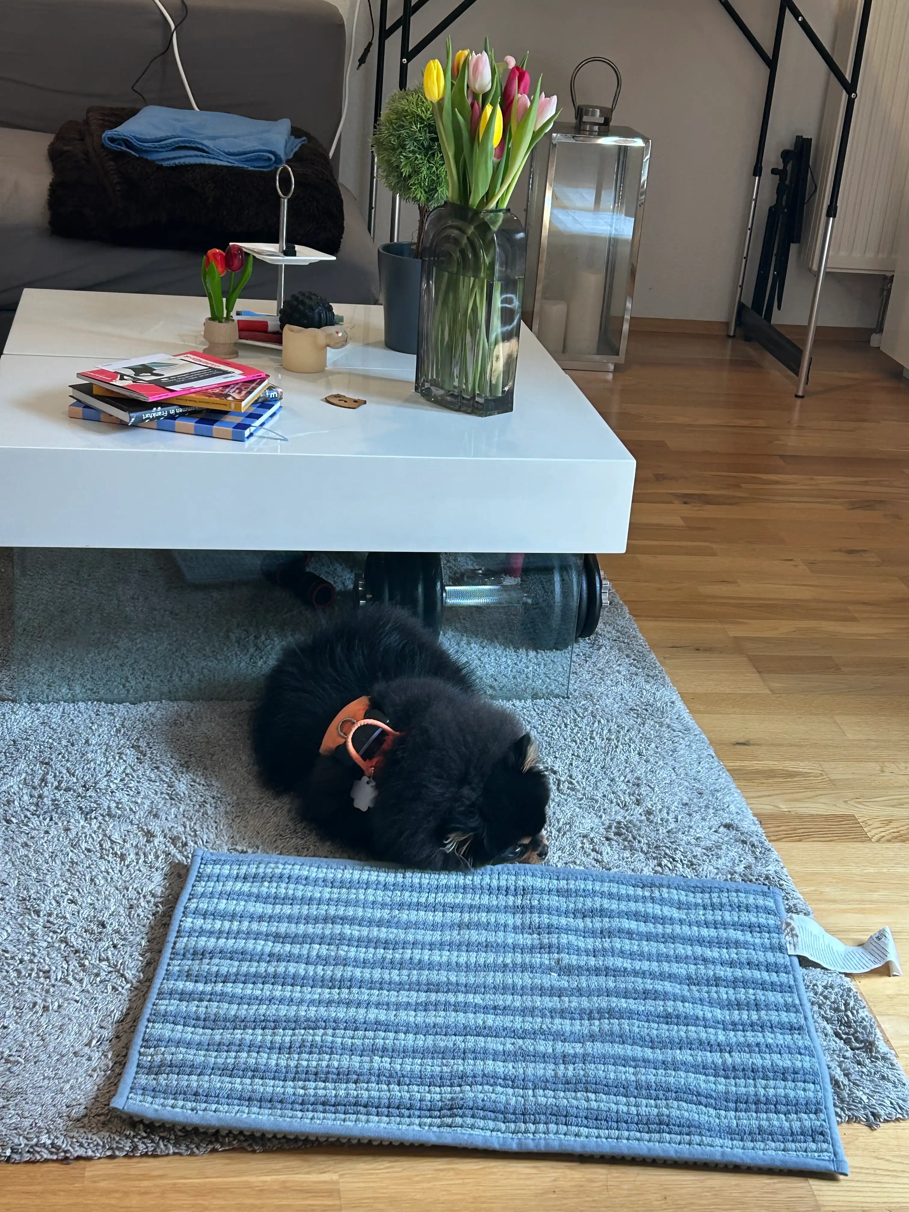 image-16