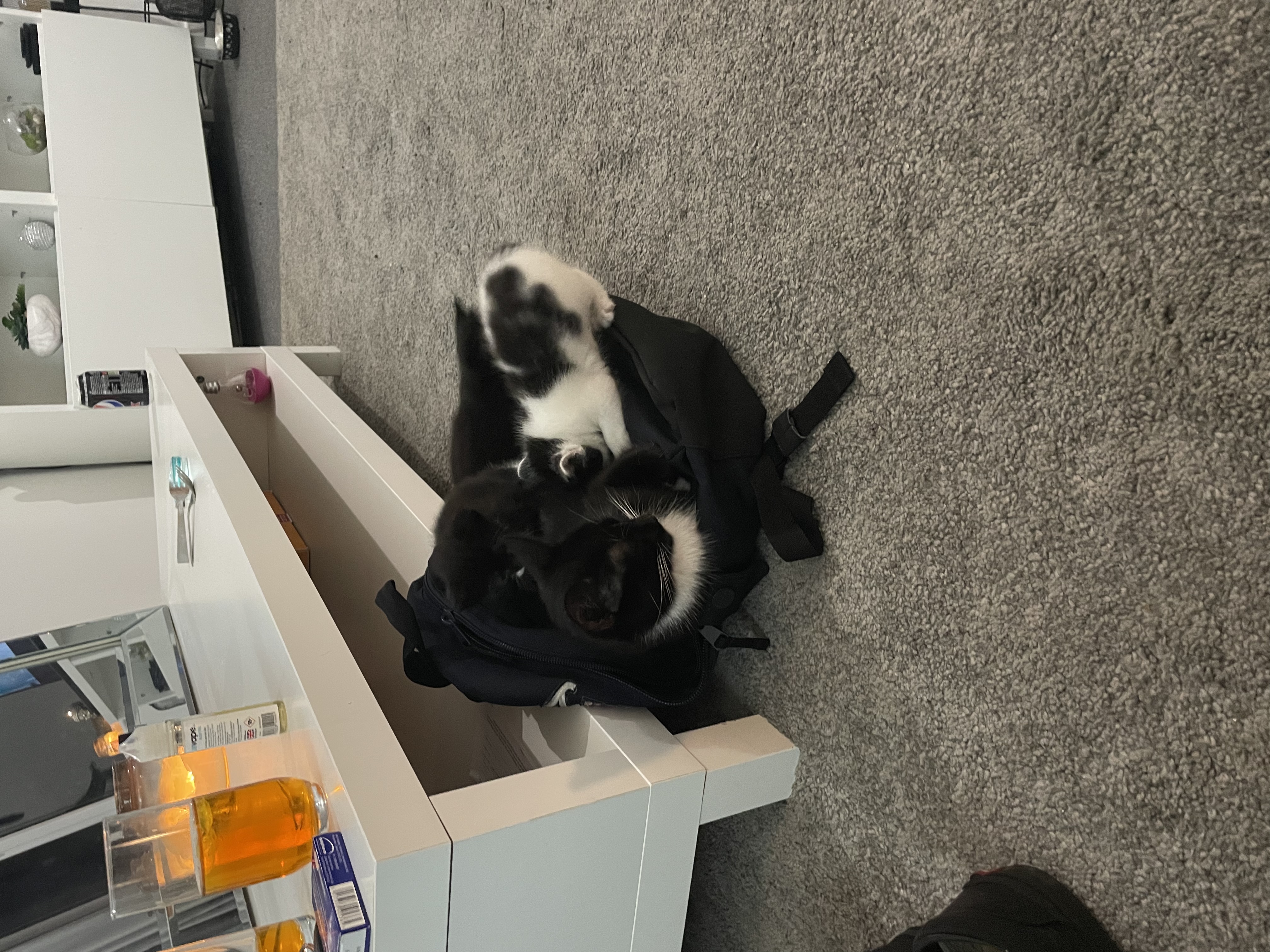 image-10