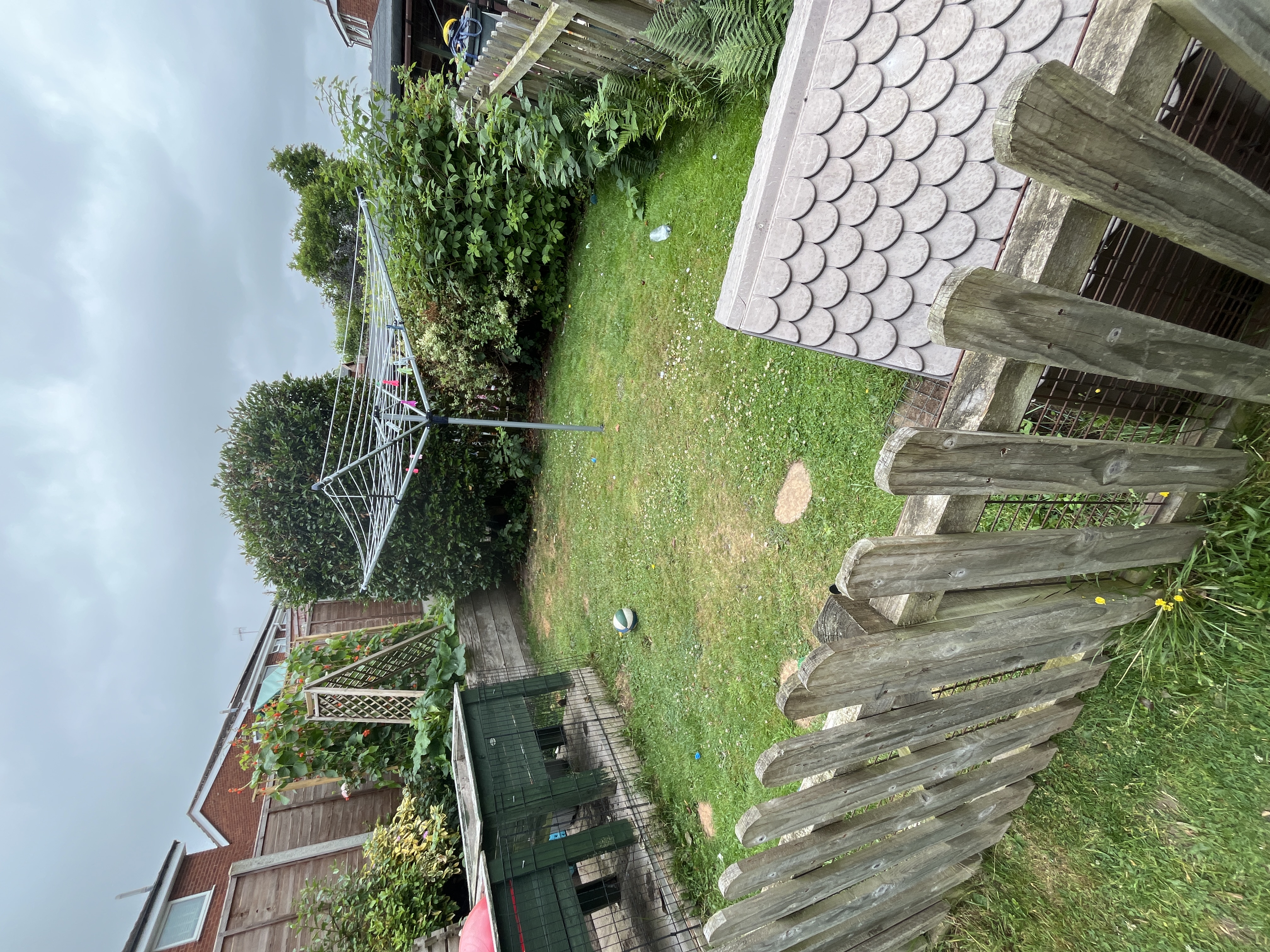 image-15