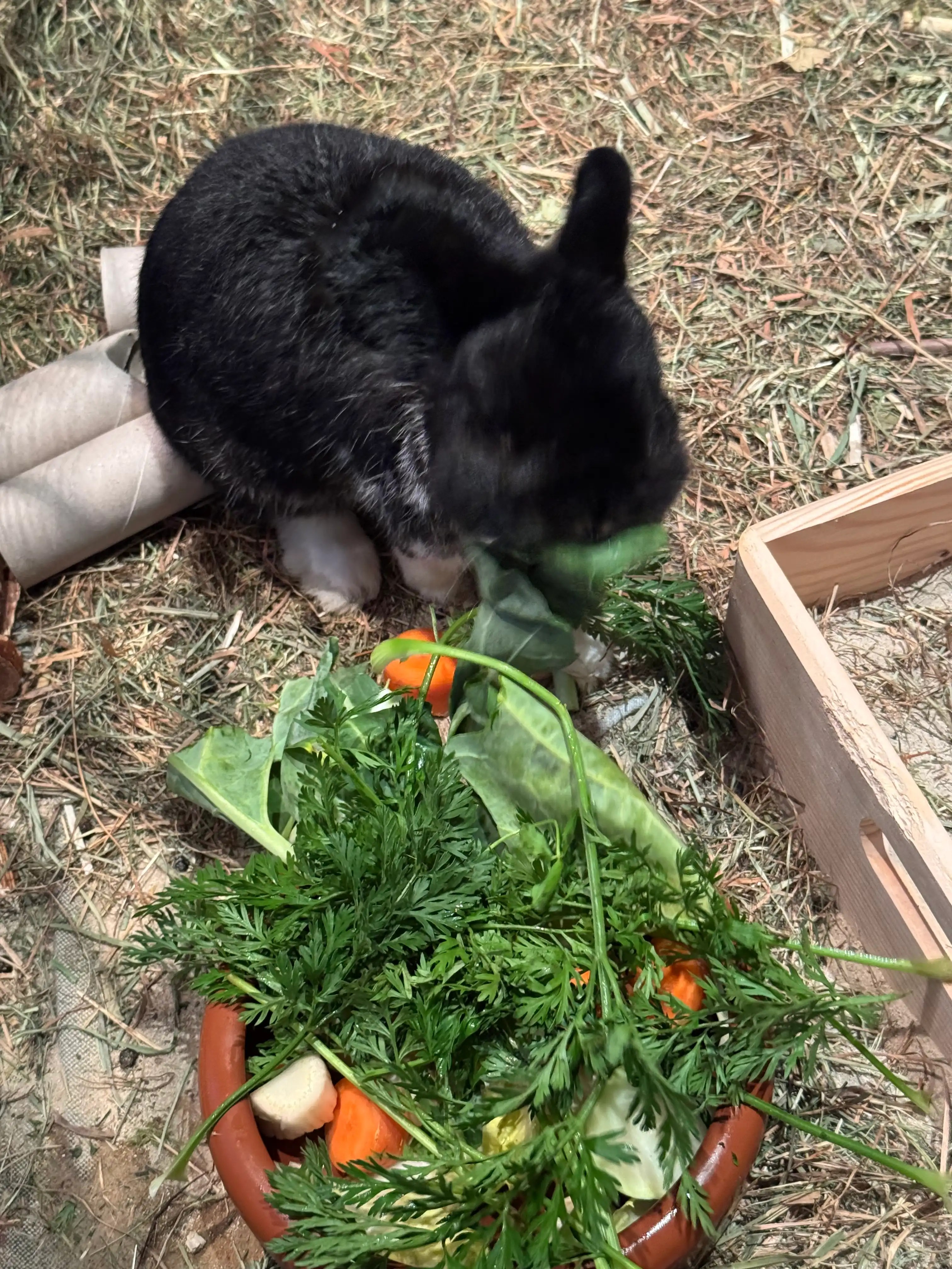 image-42