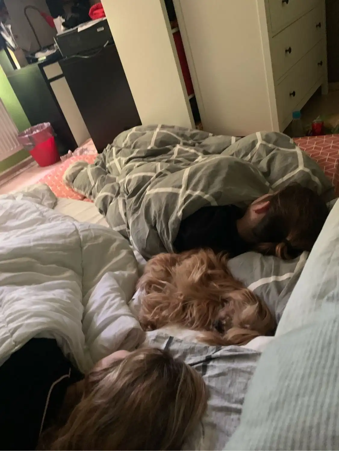 image-6
