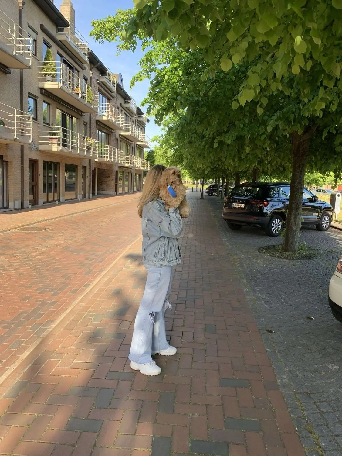 image-1