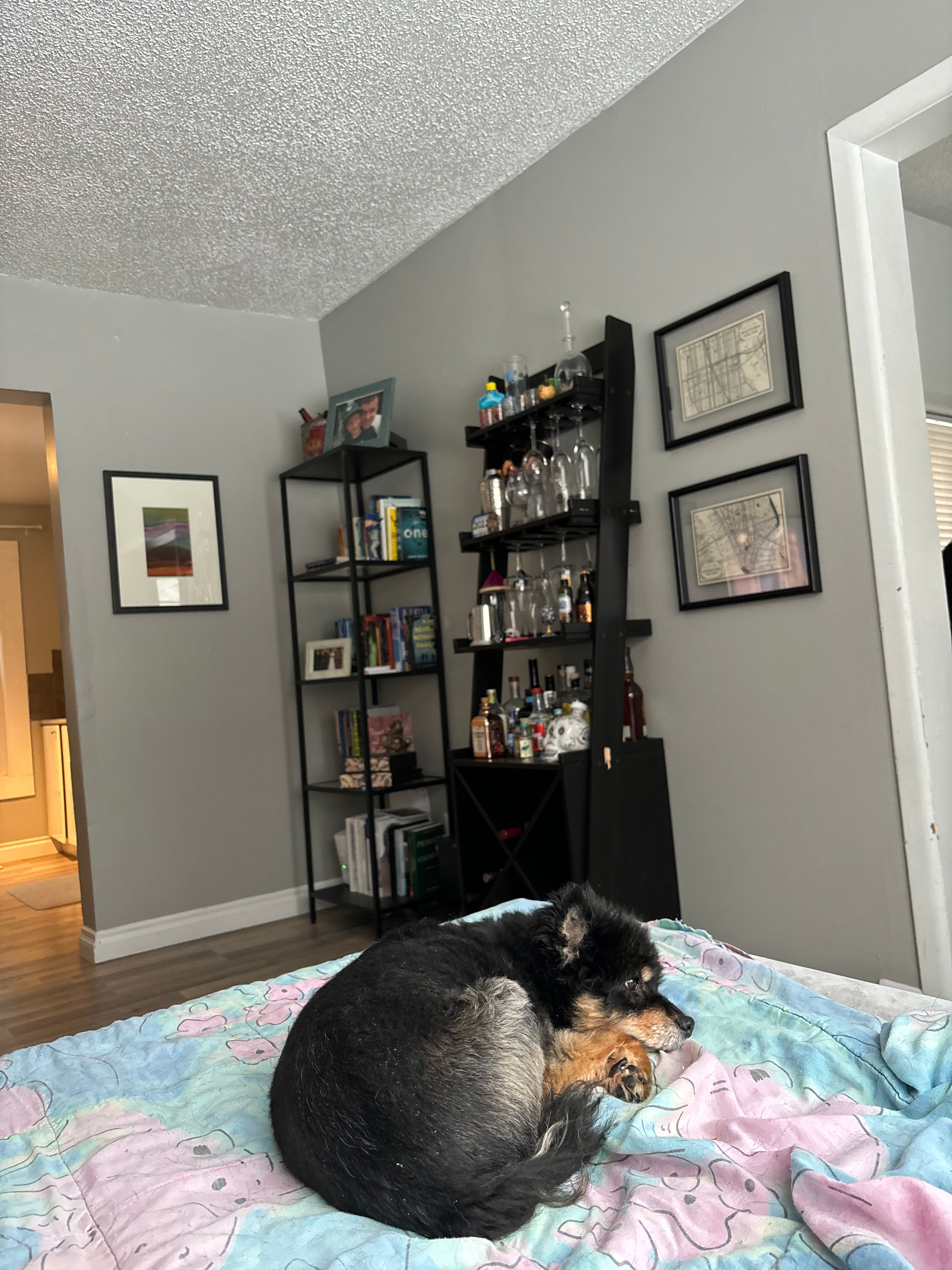 image-37