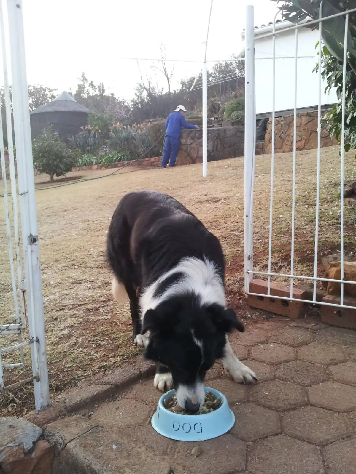 image-5