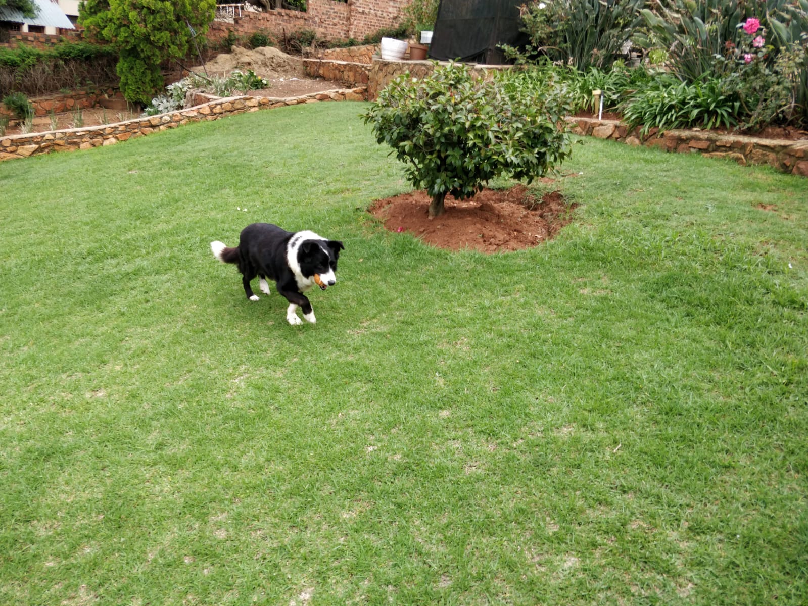 image-6