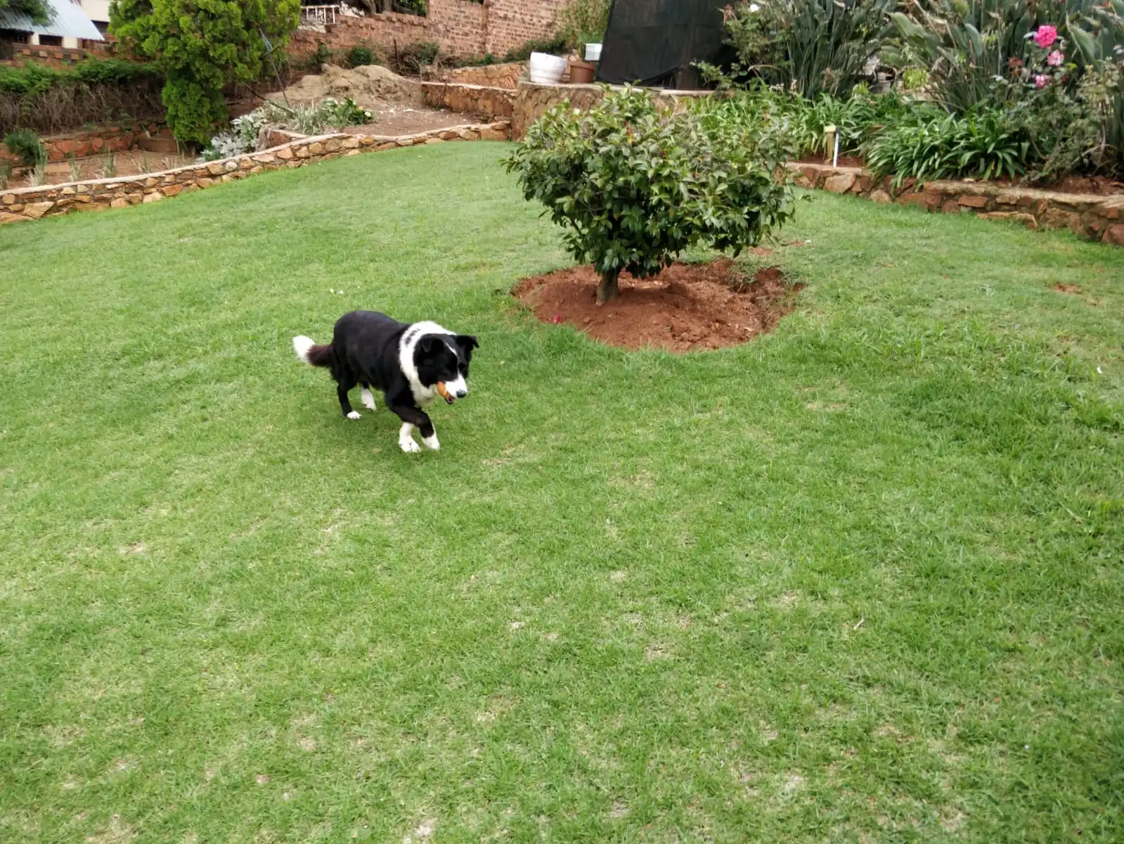 image-6