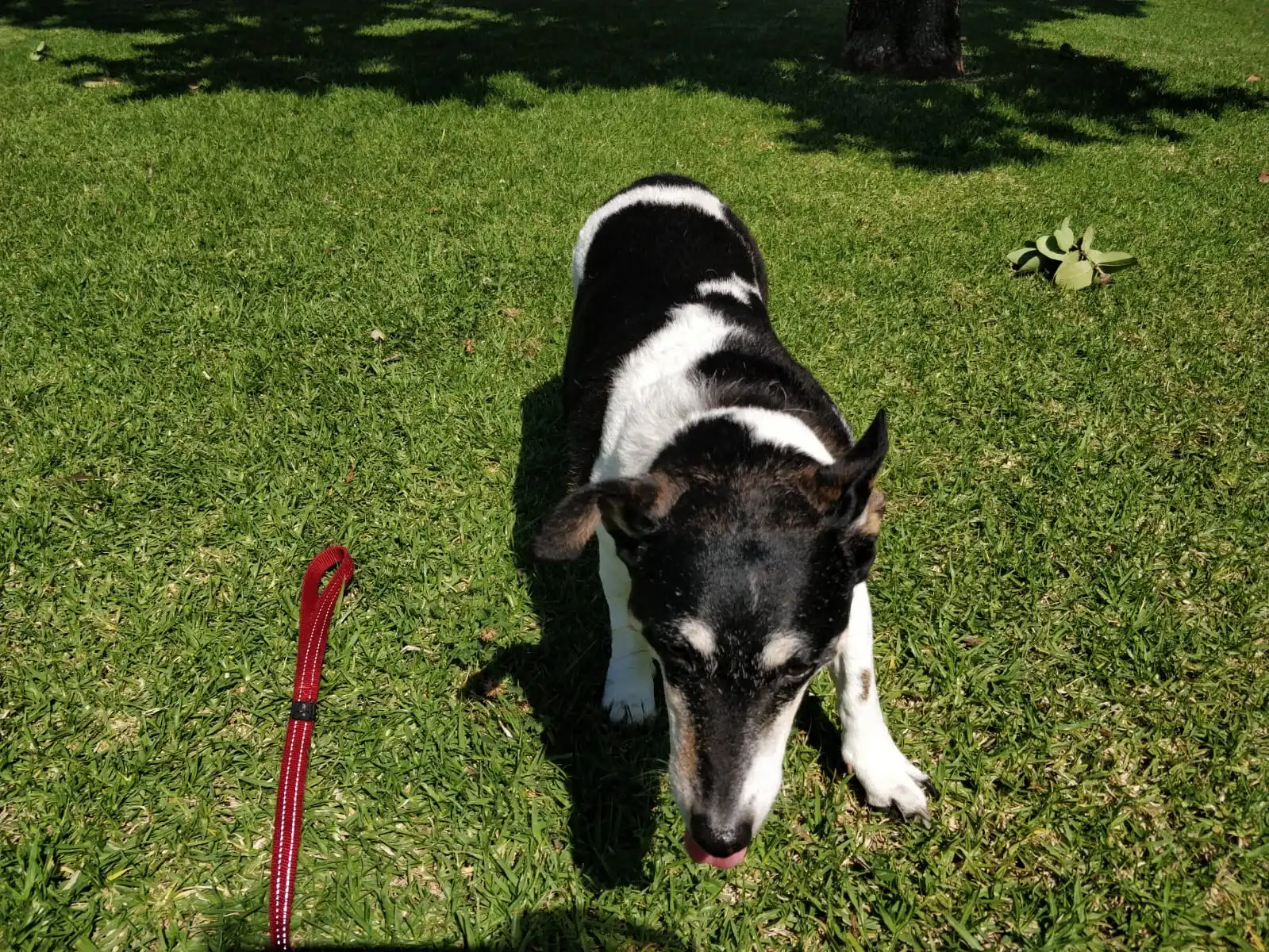 image-8