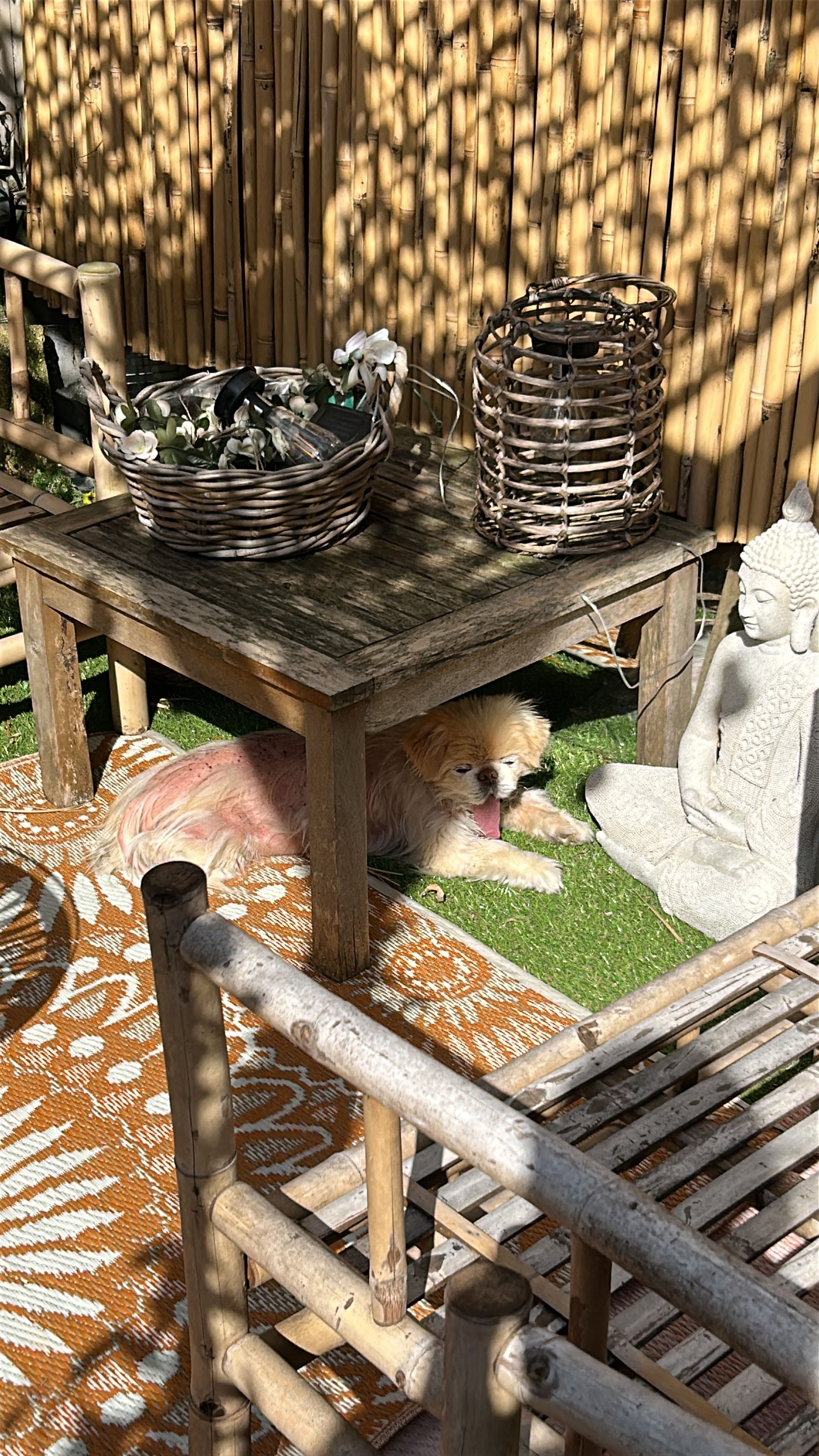 image-11