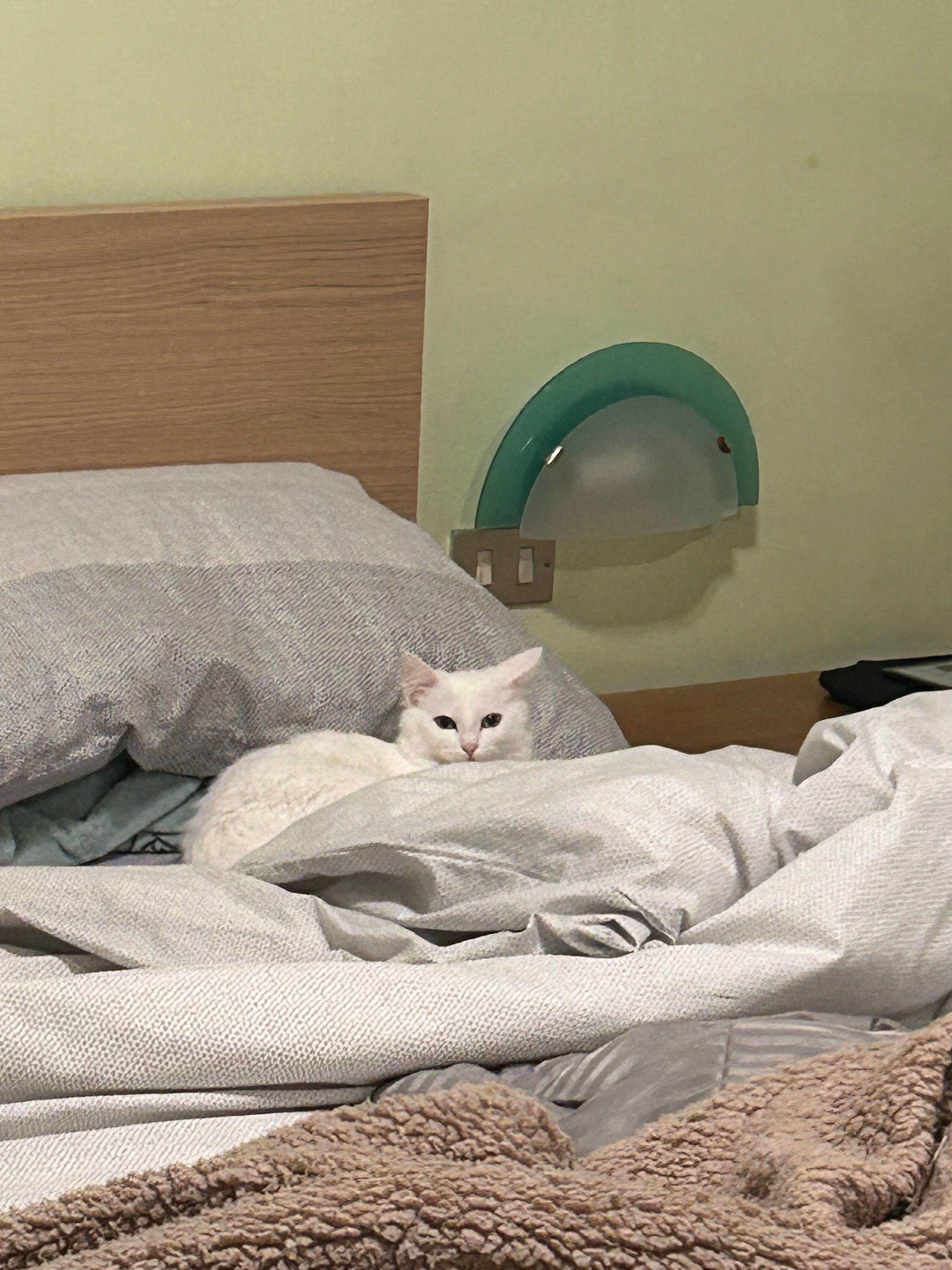 image-5