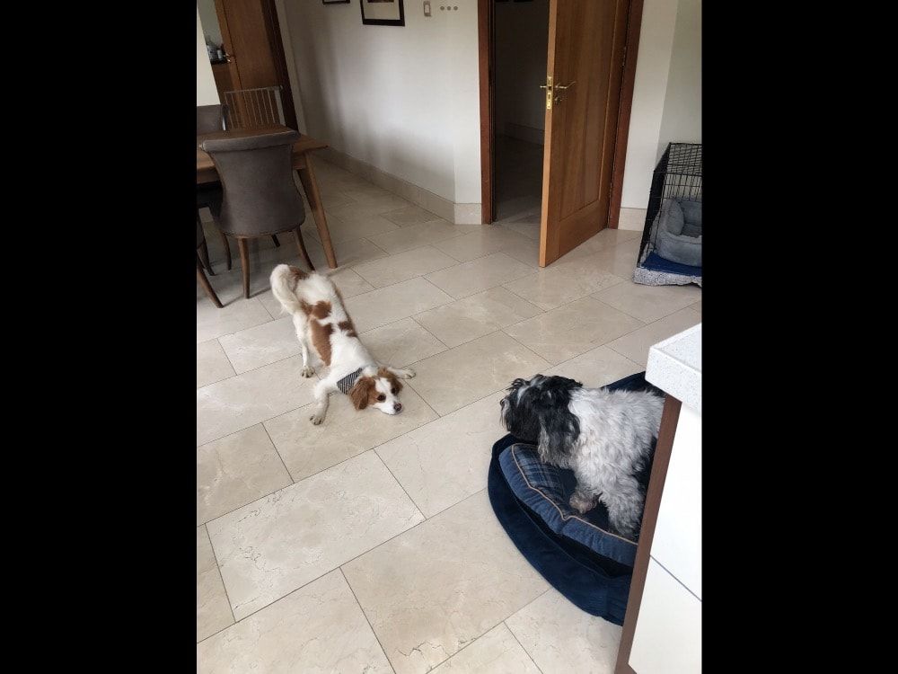 image-17