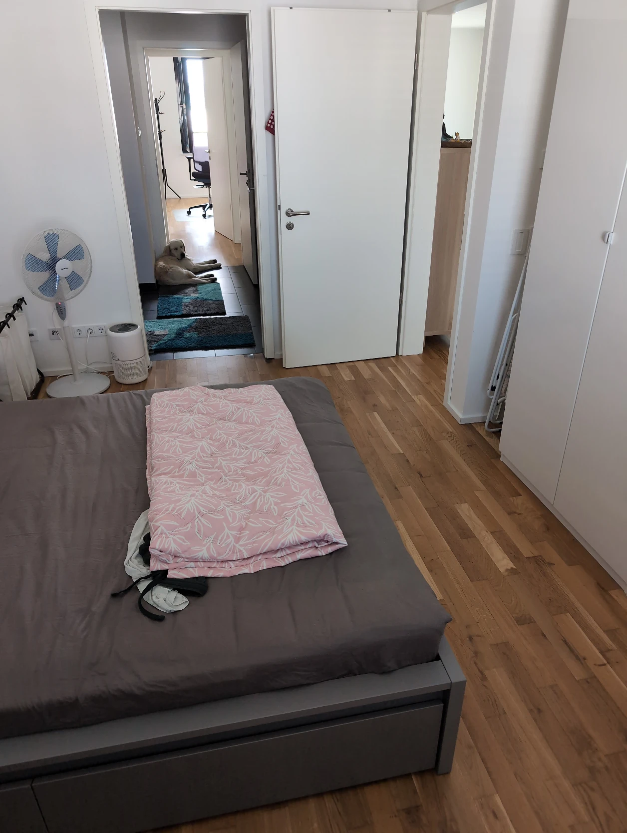 image-13