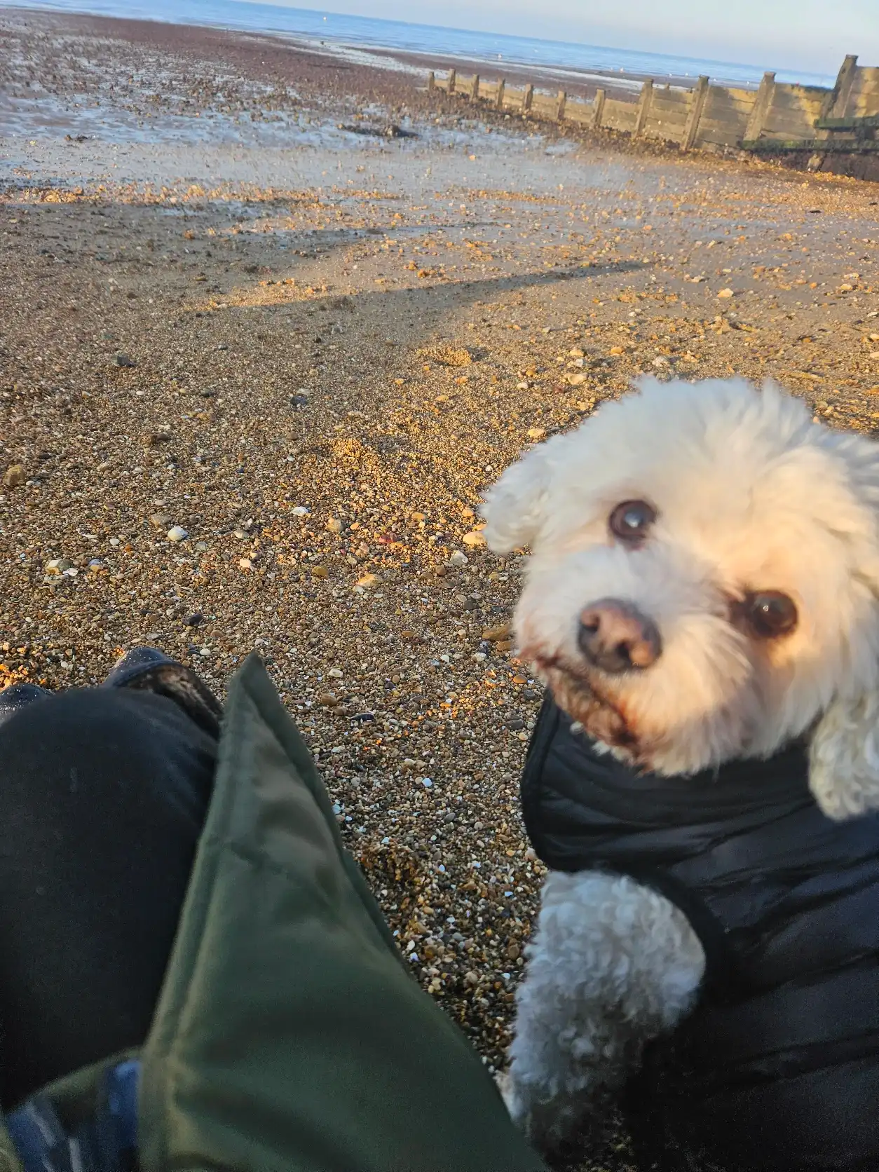 image-10