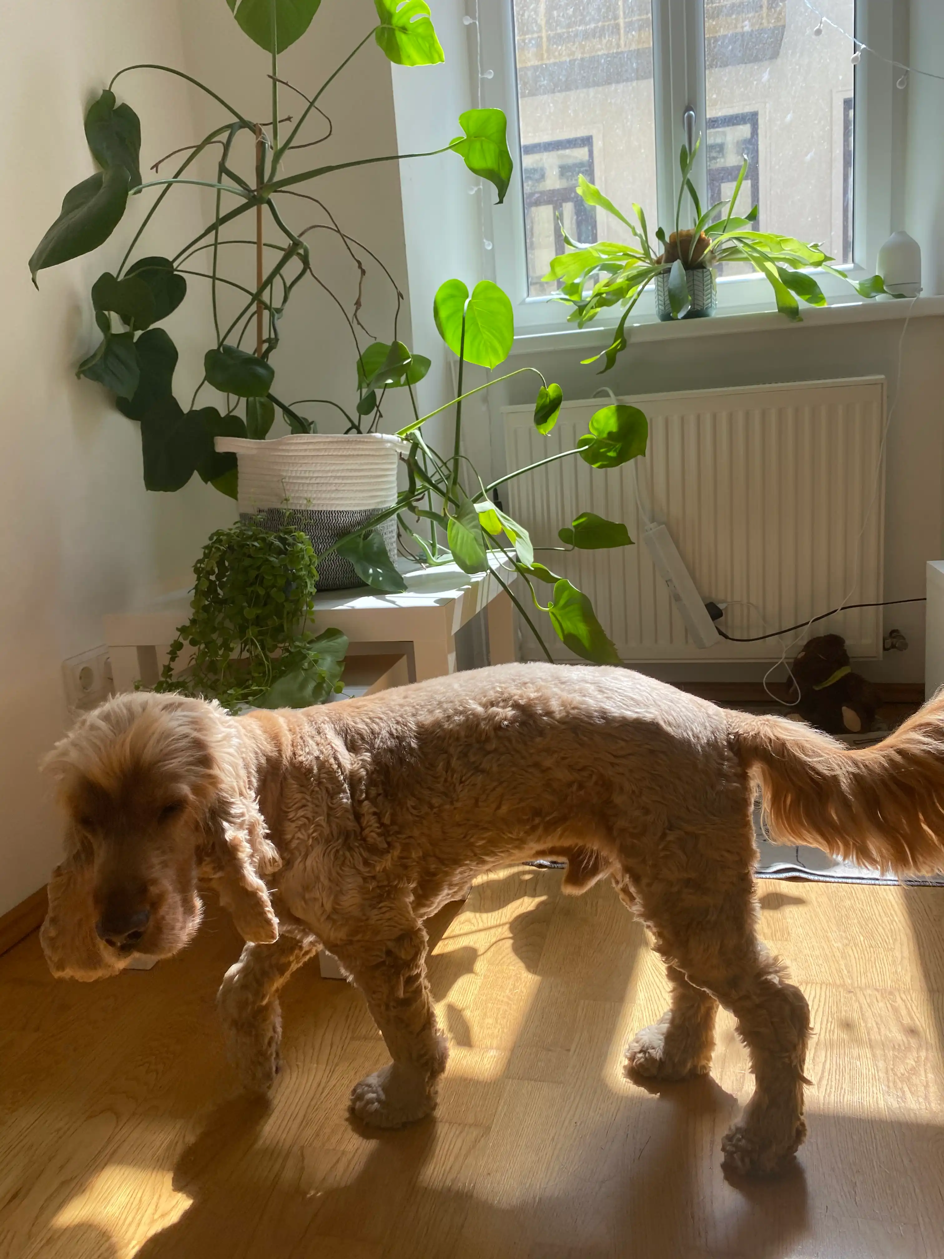 image-10