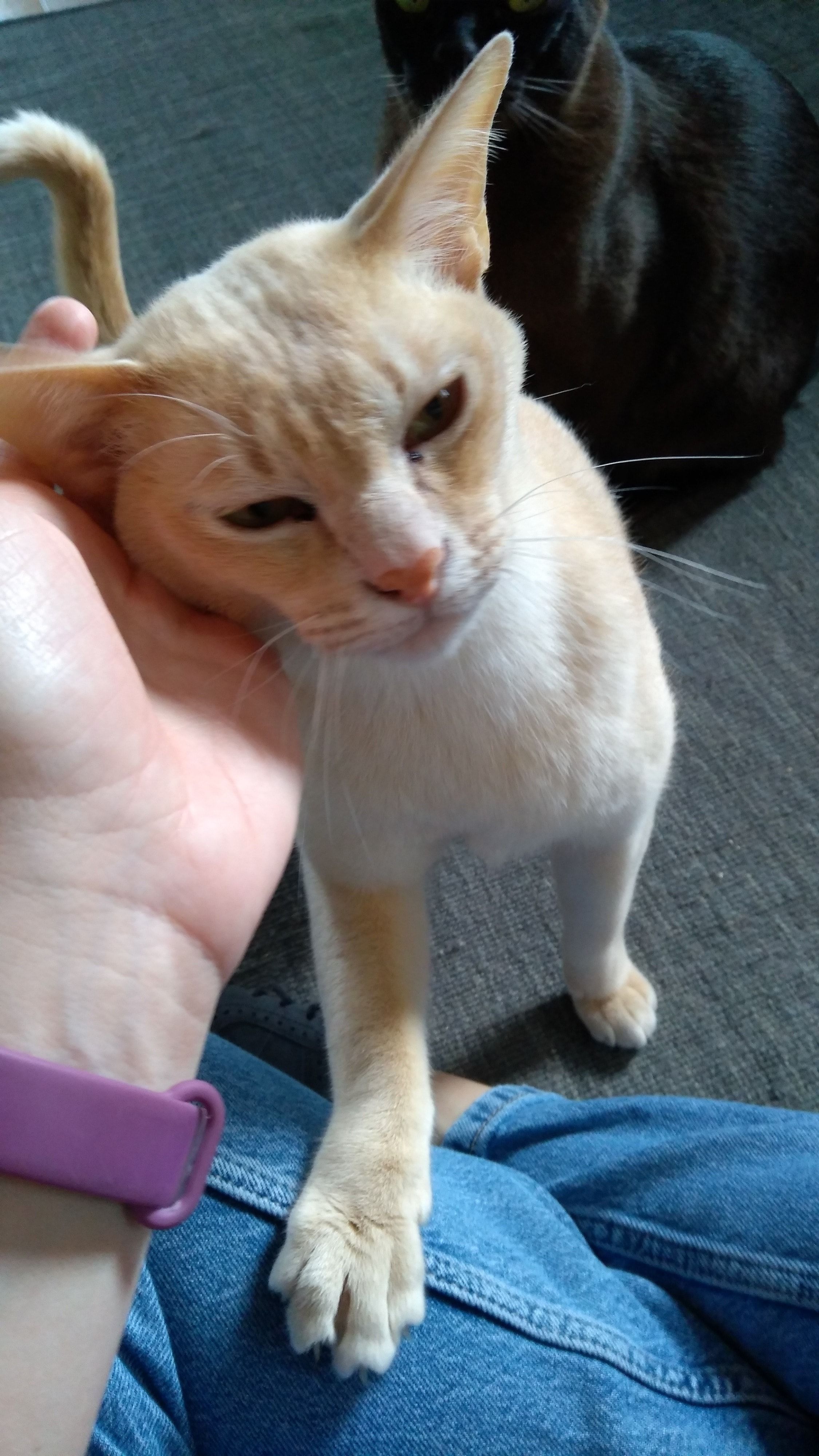image-5