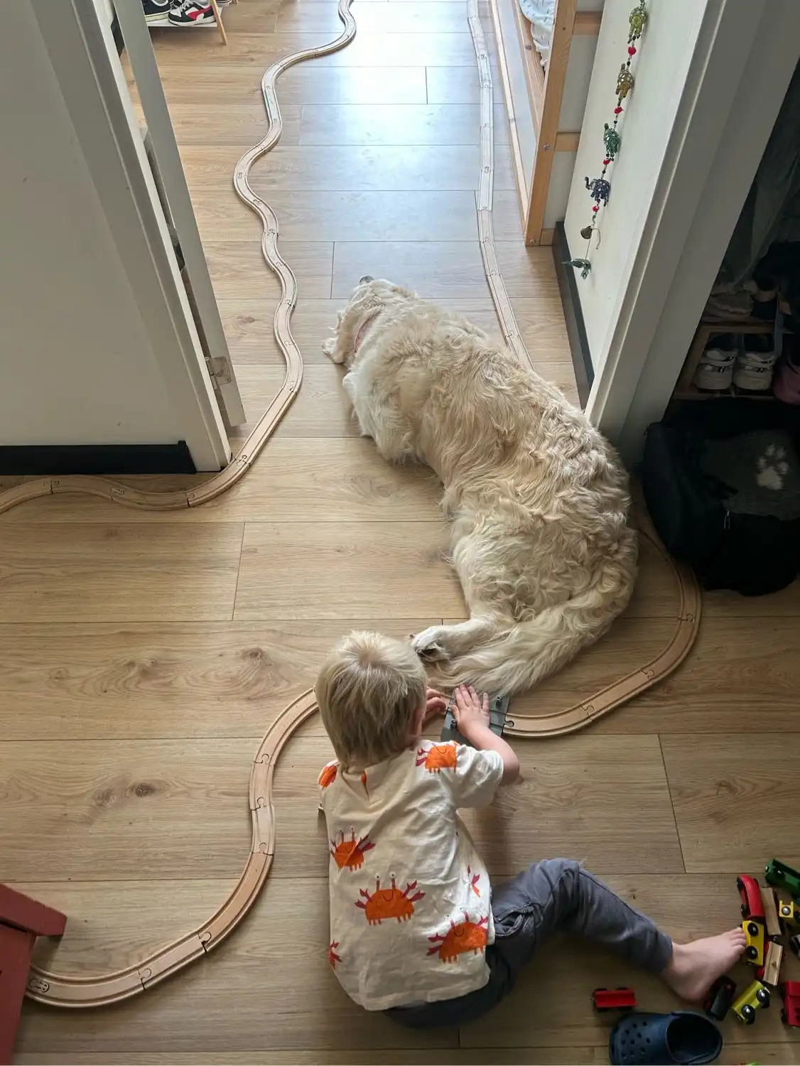 image-13