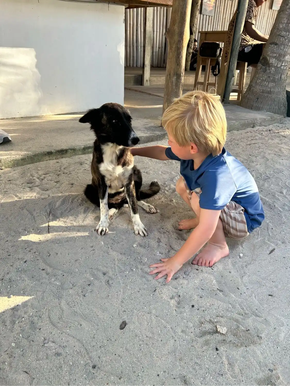 image-21
