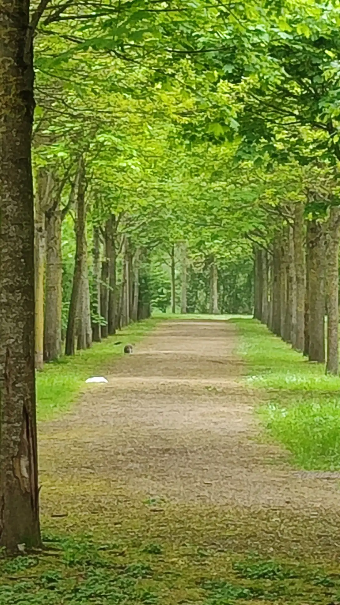 image-28