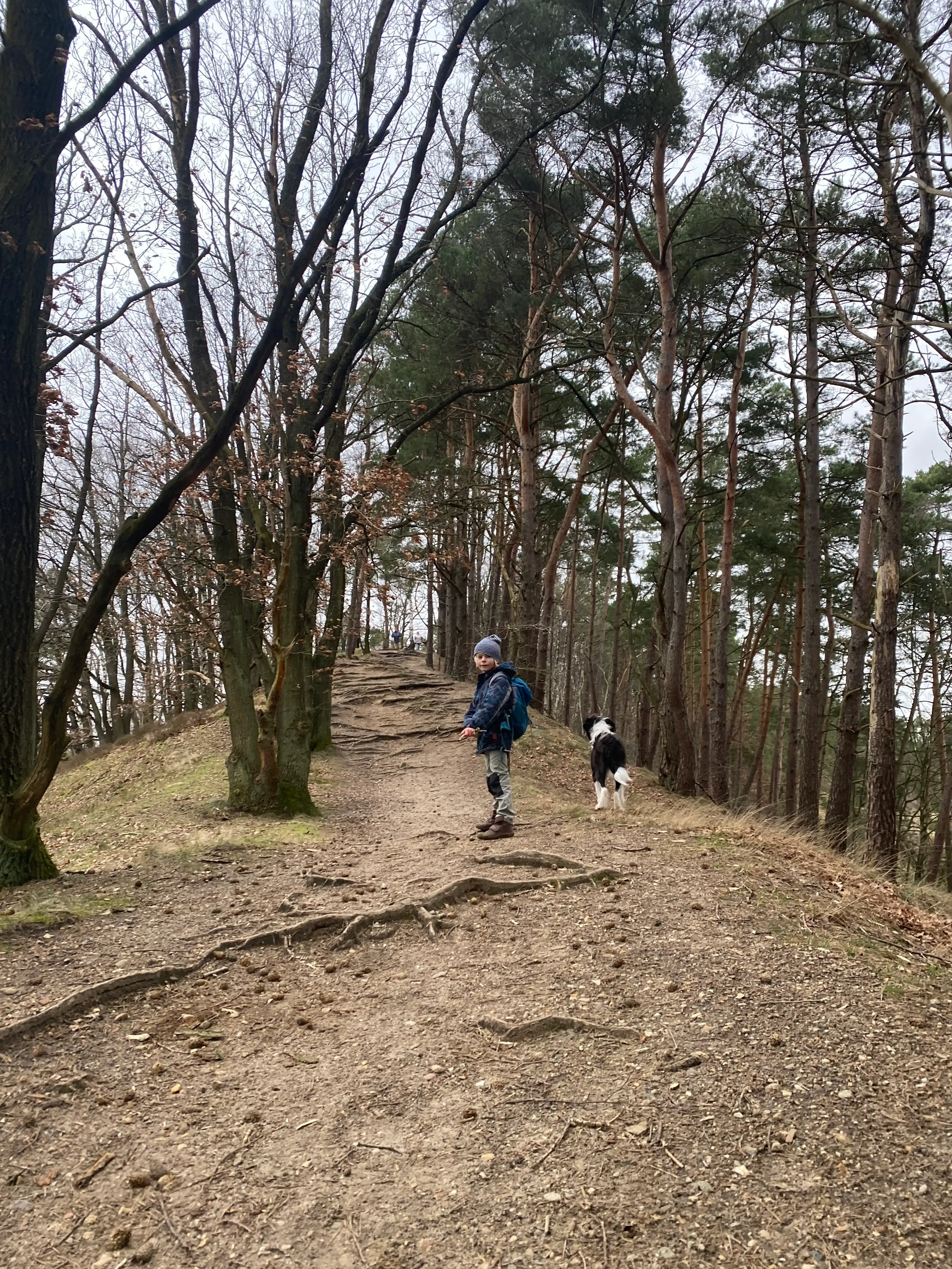 image-10