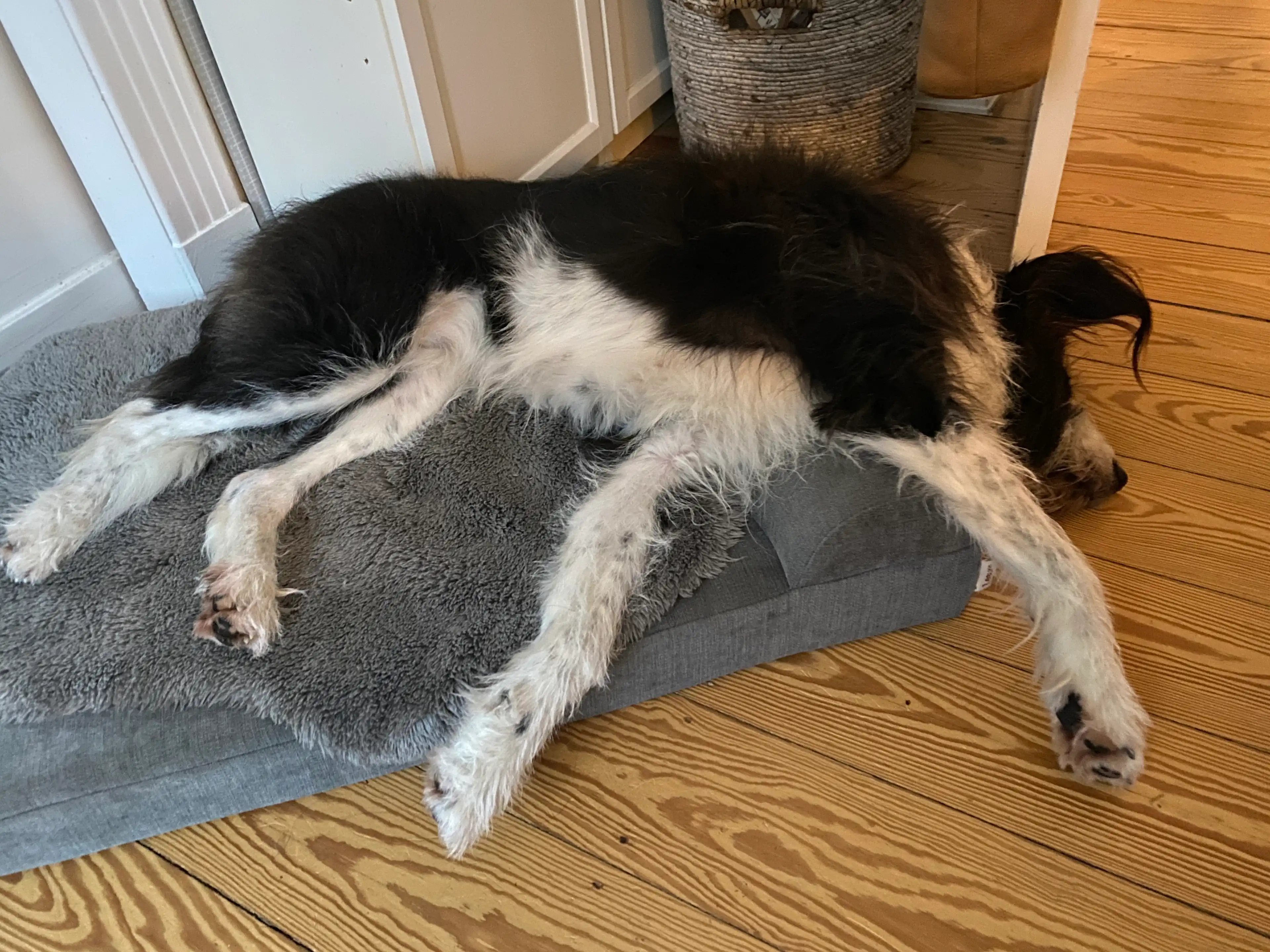 image-28