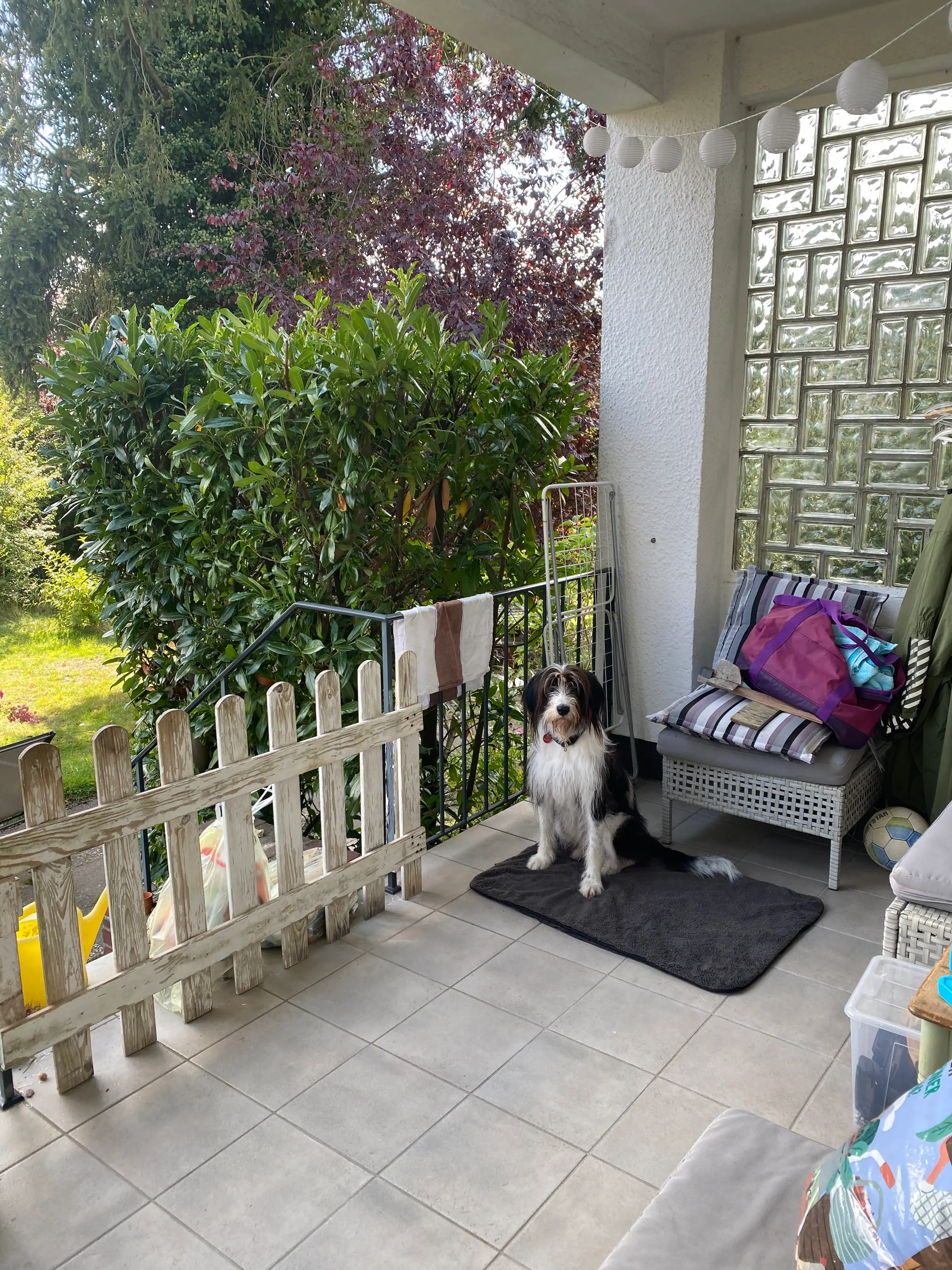 image-18