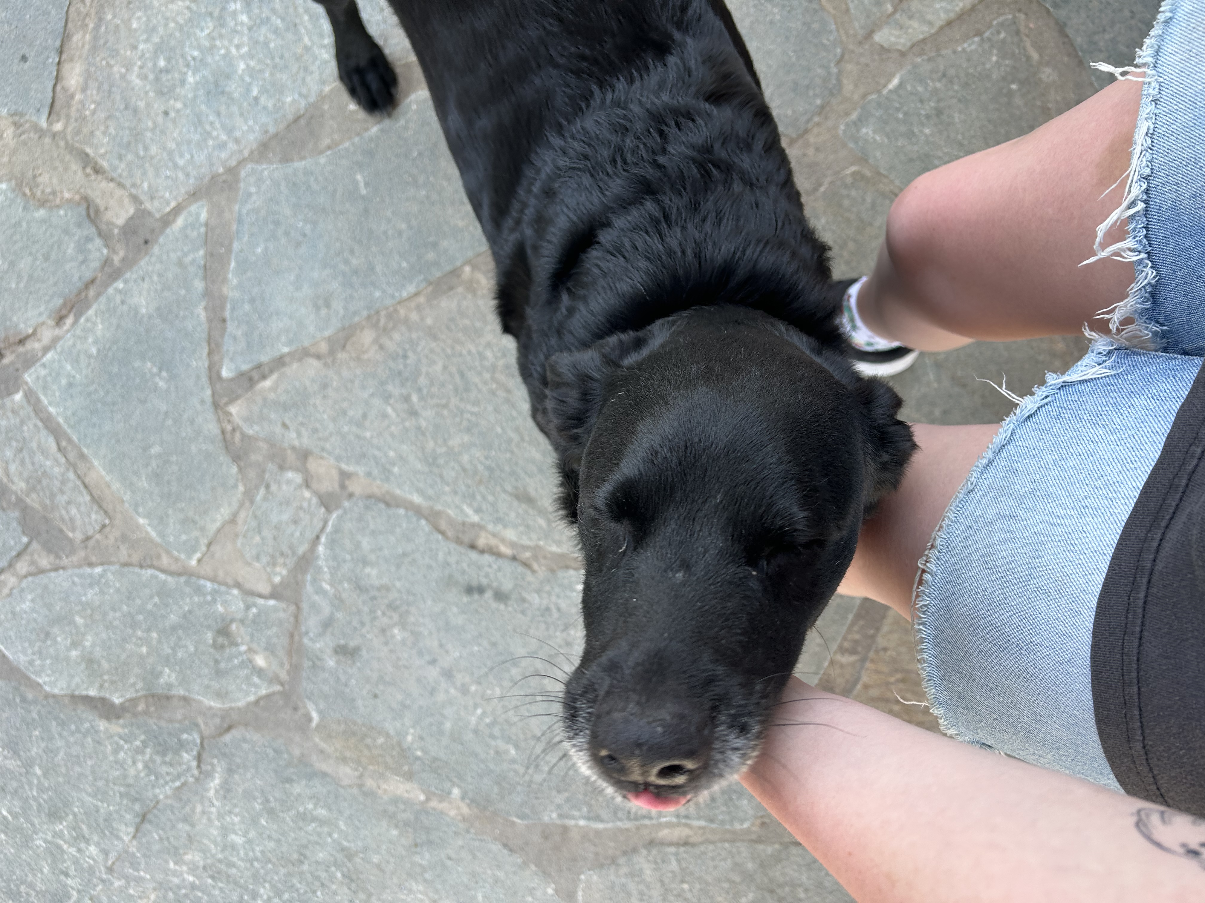 image-6