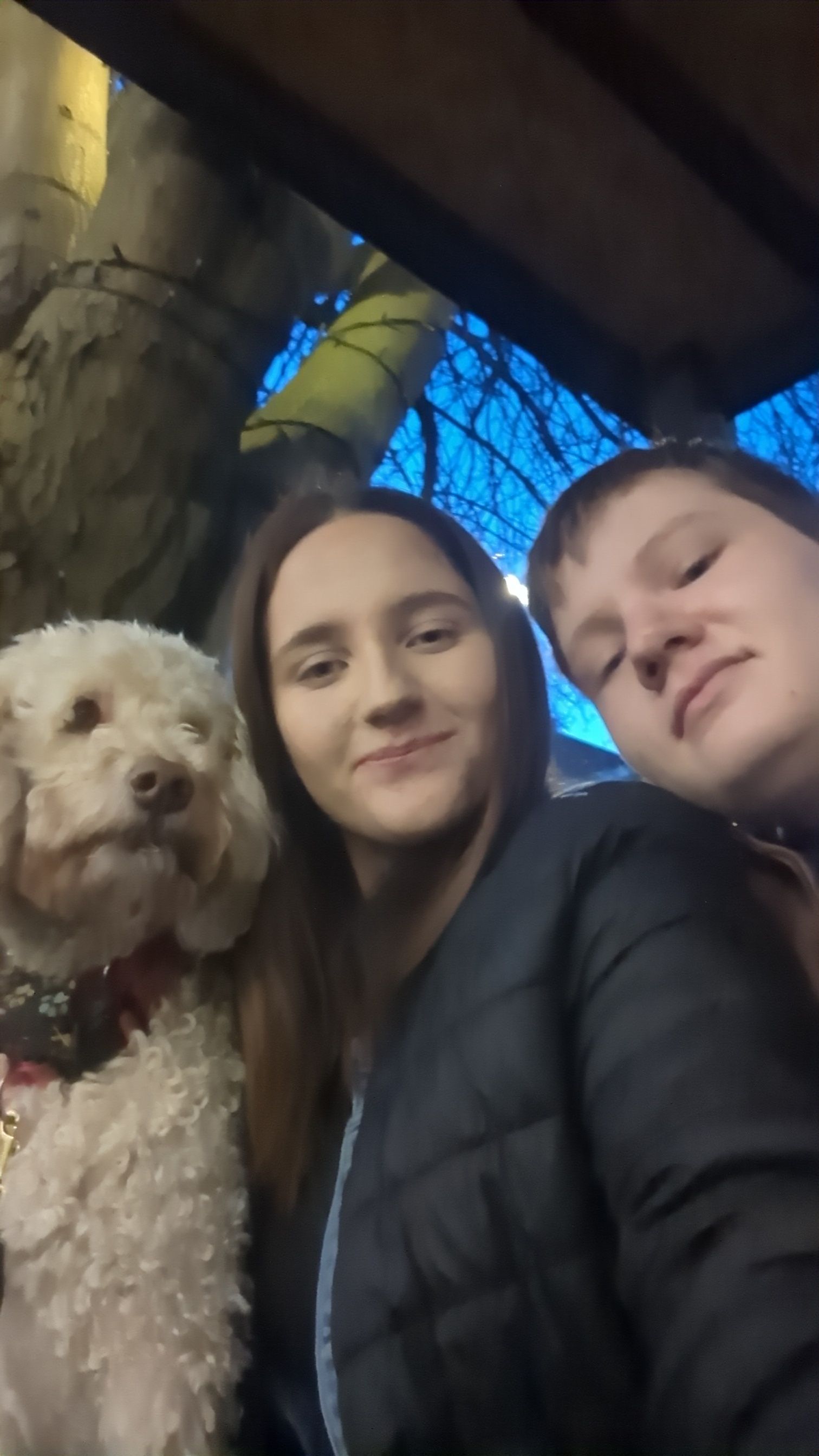 image-6