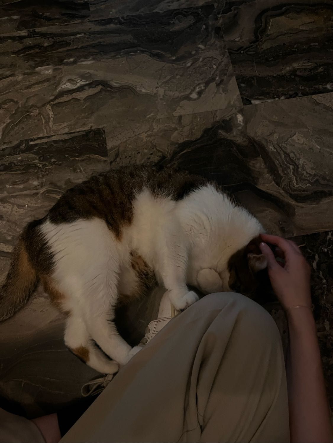 image-5