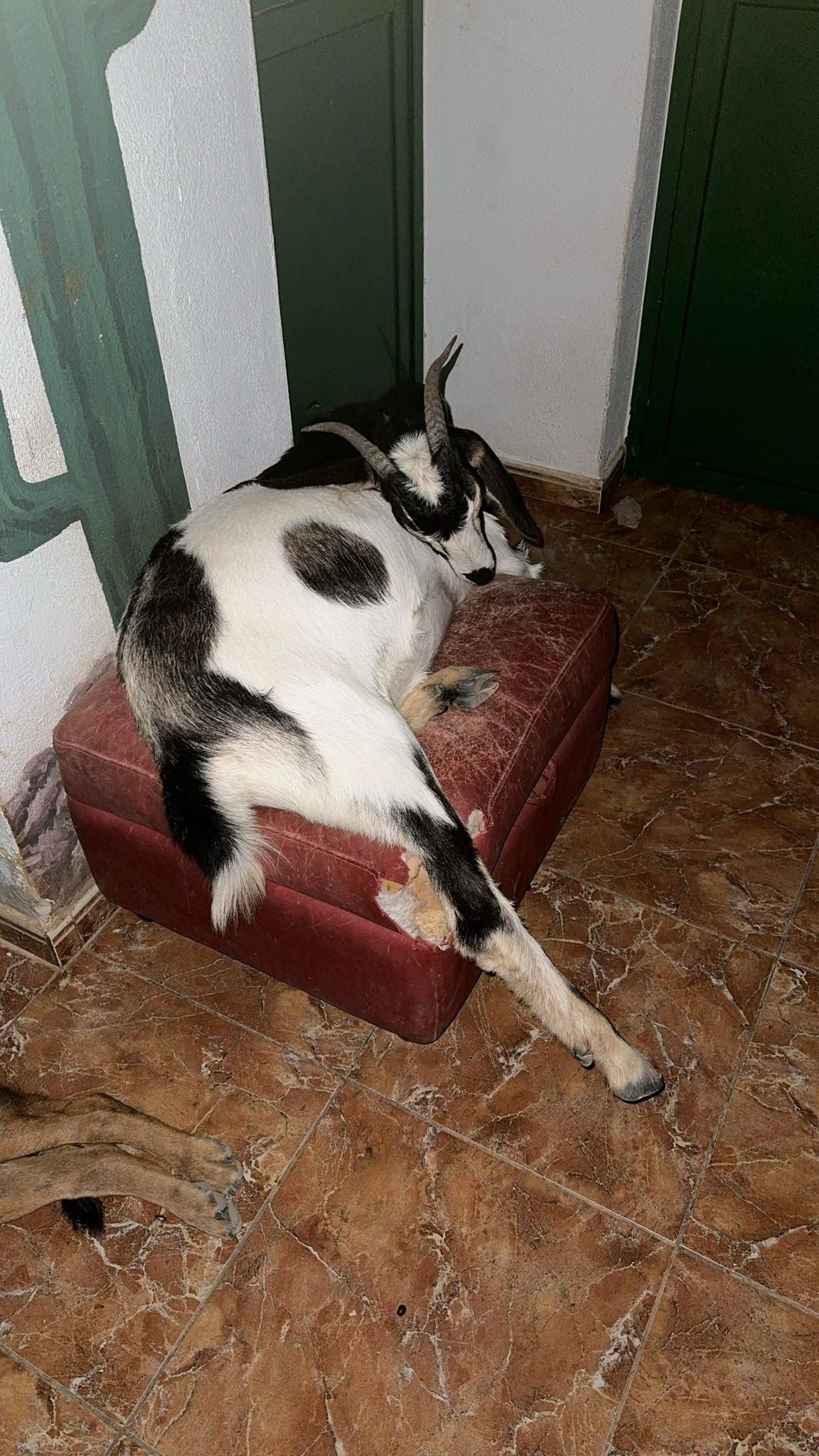 image-17