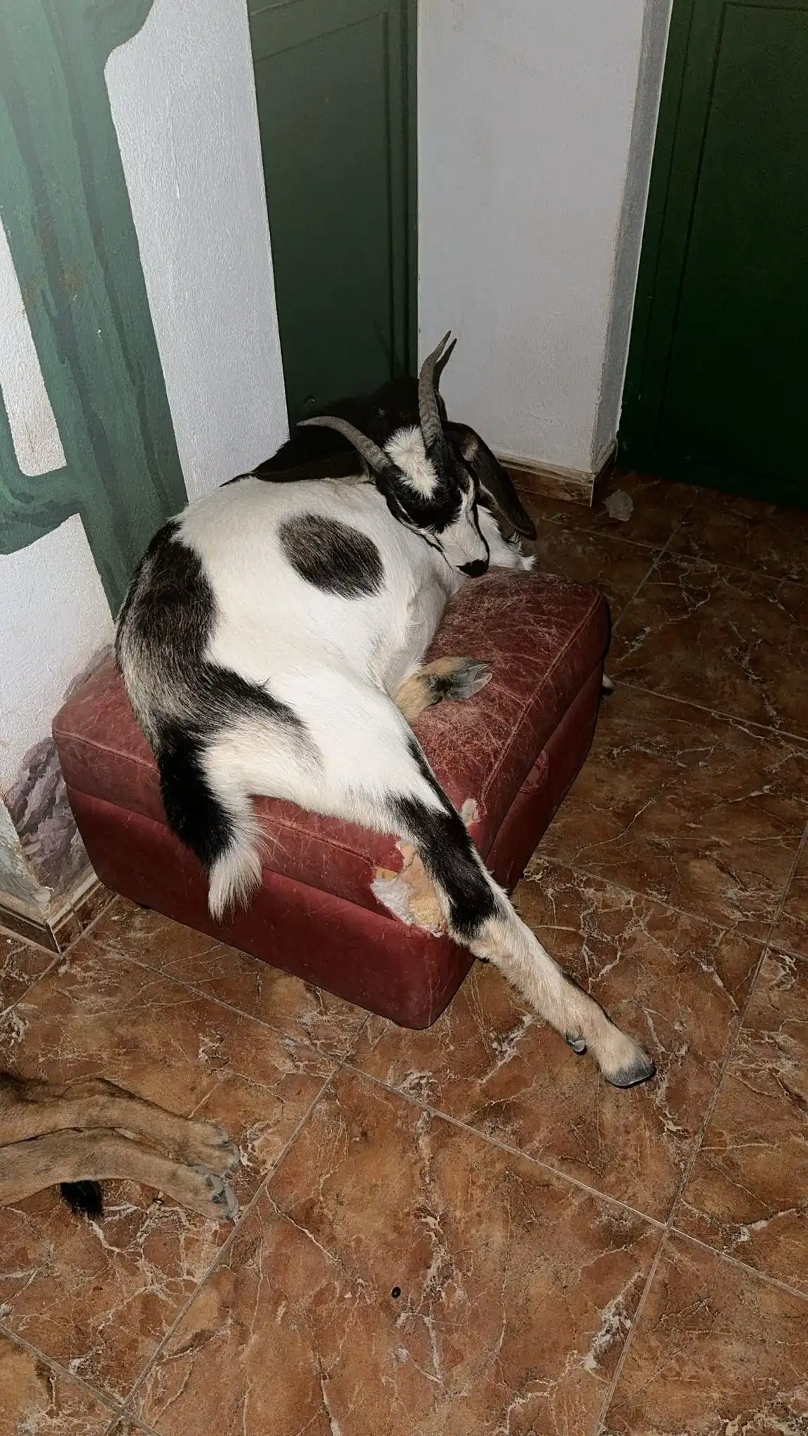 image-17