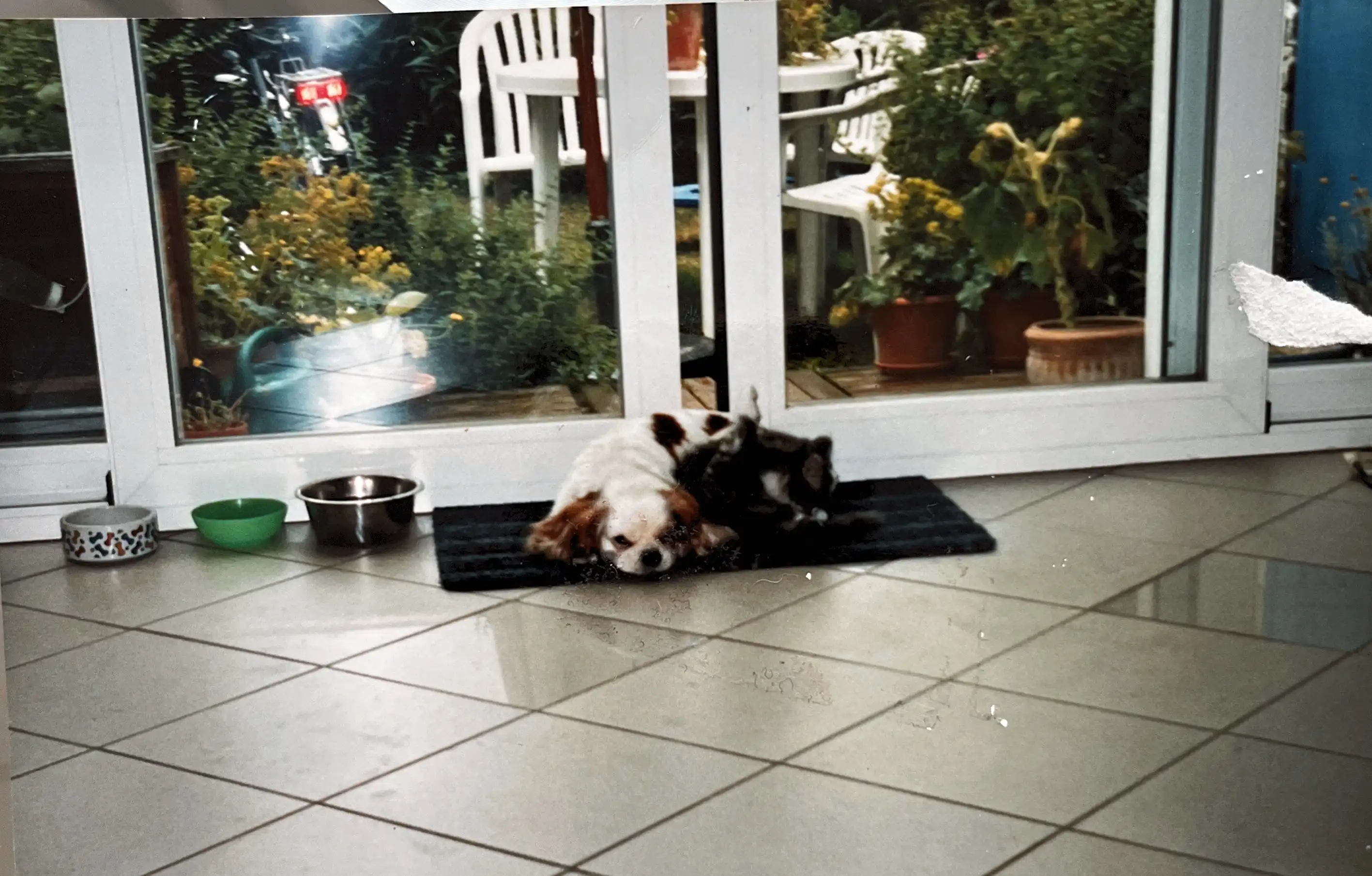 image-26